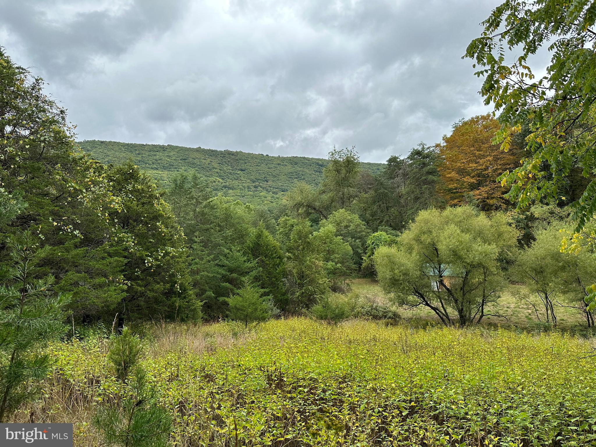 HAMILTON ESTATES - Land