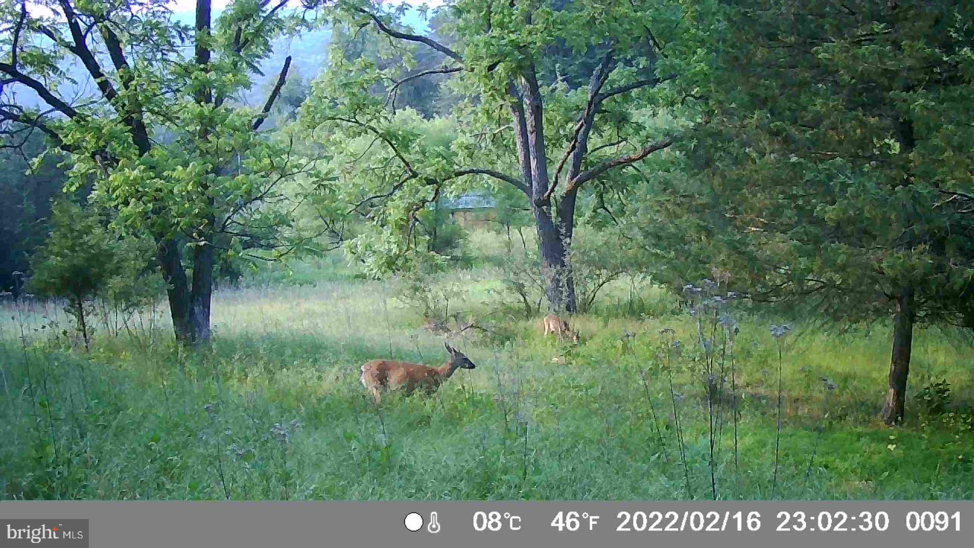 HAMILTON ESTATES - Land