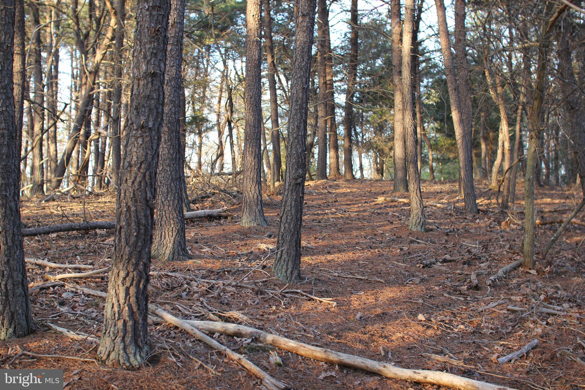 HAMILTON ESTATES - Land