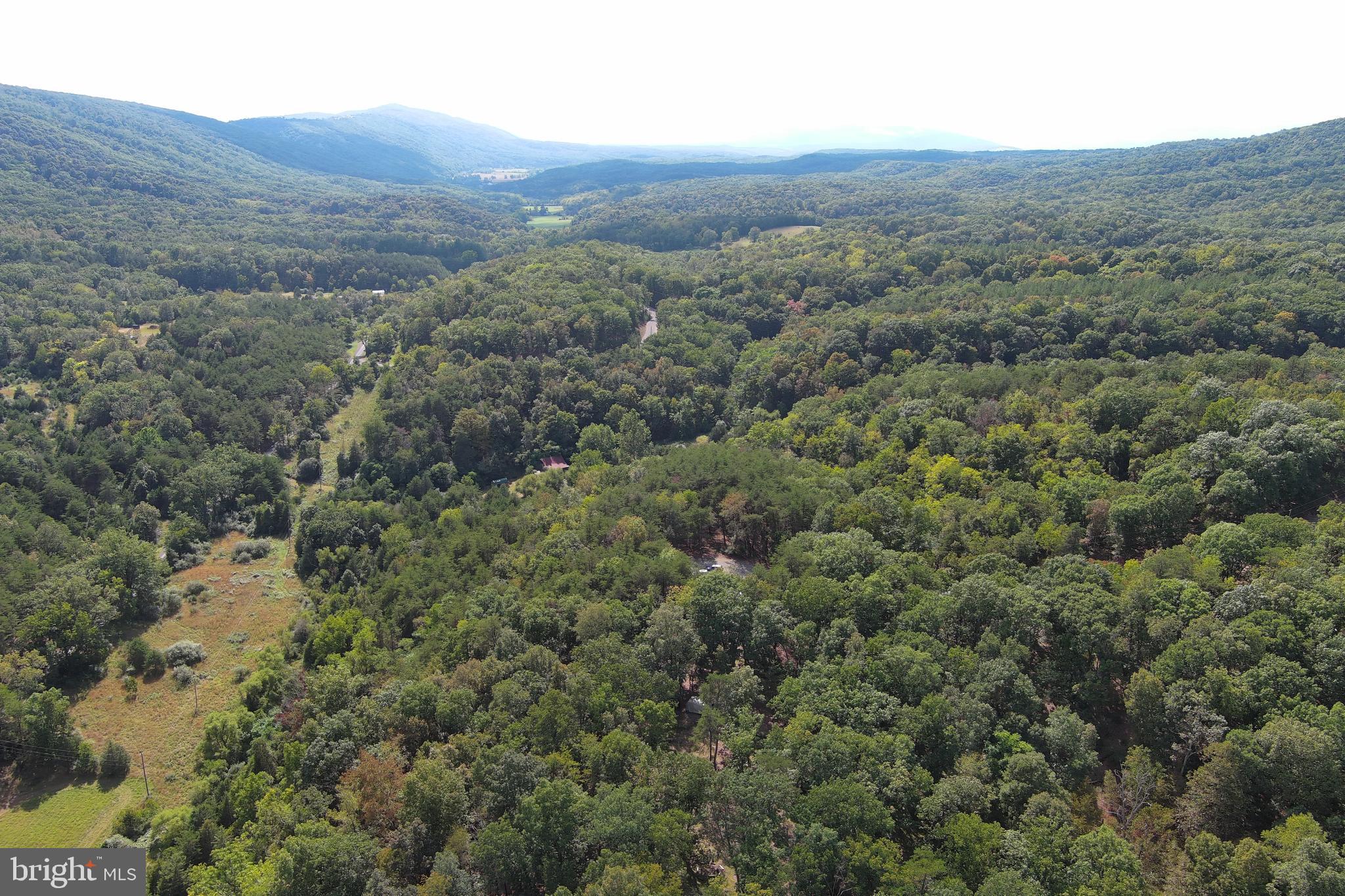 HAMILTON ESTATES - Land