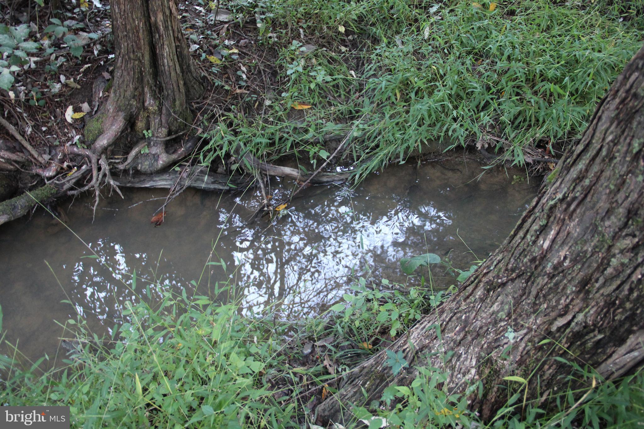 HAMILTON ESTATES - Land