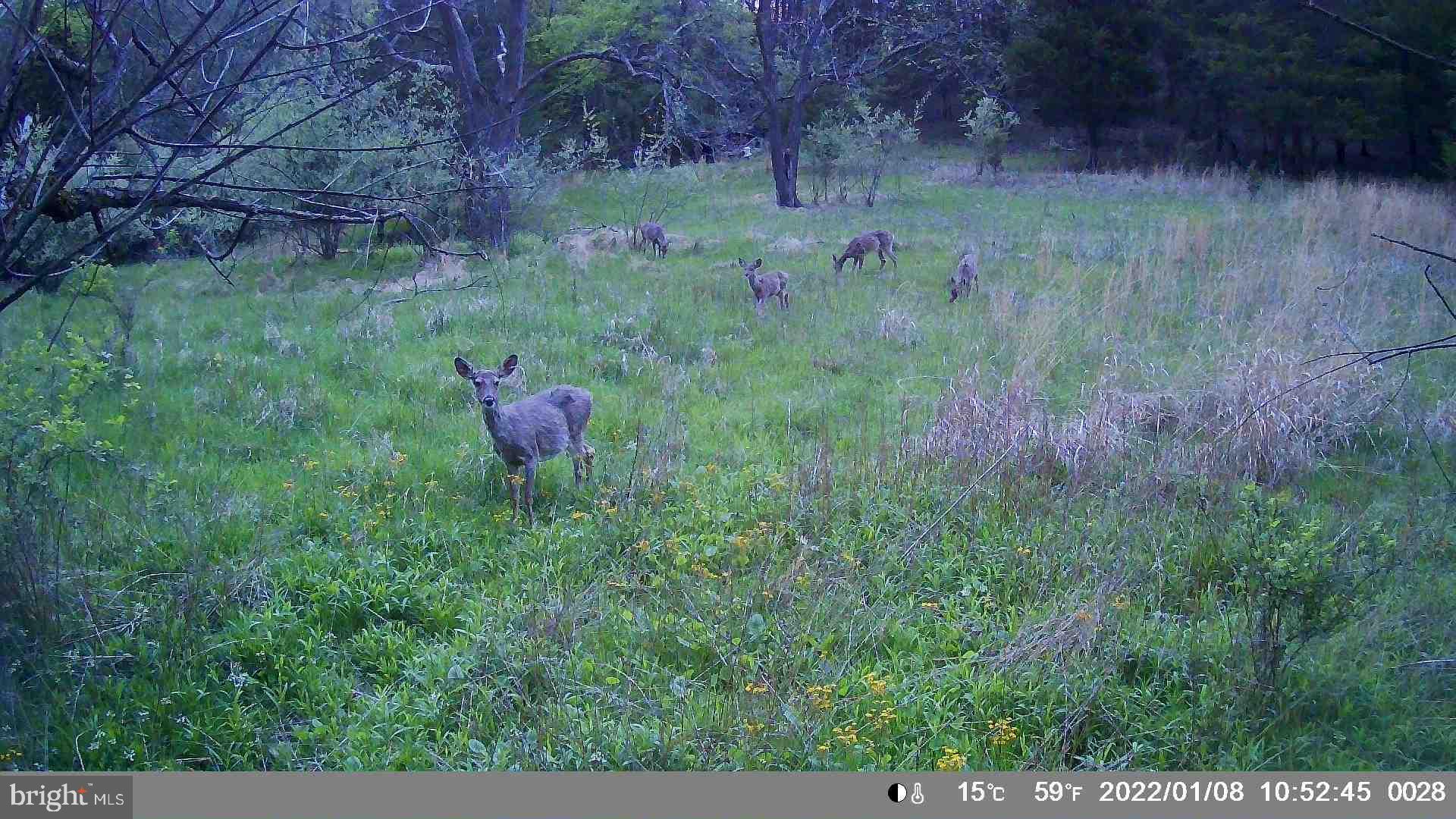 HAMILTON ESTATES - Land