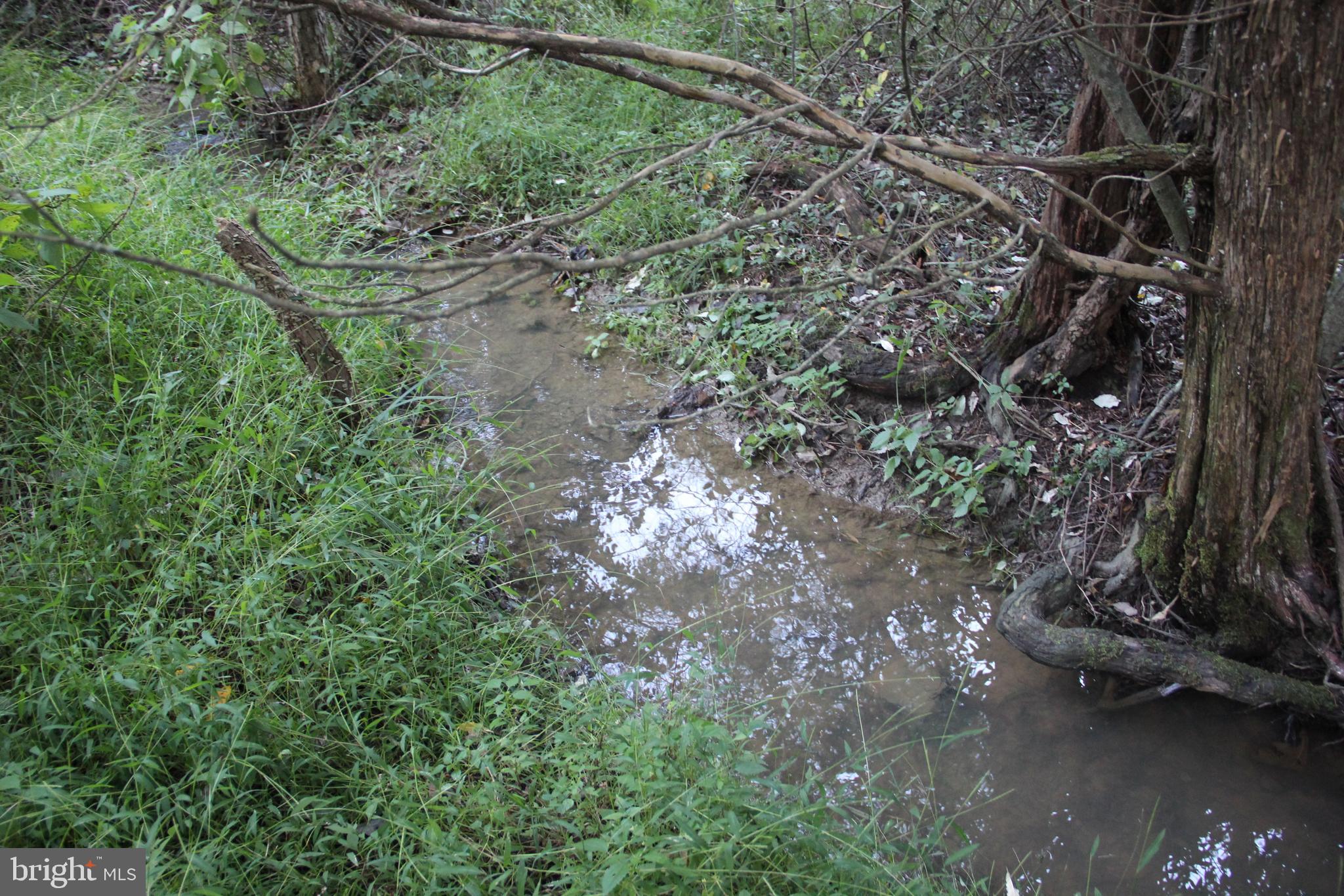 HAMILTON ESTATES - Land