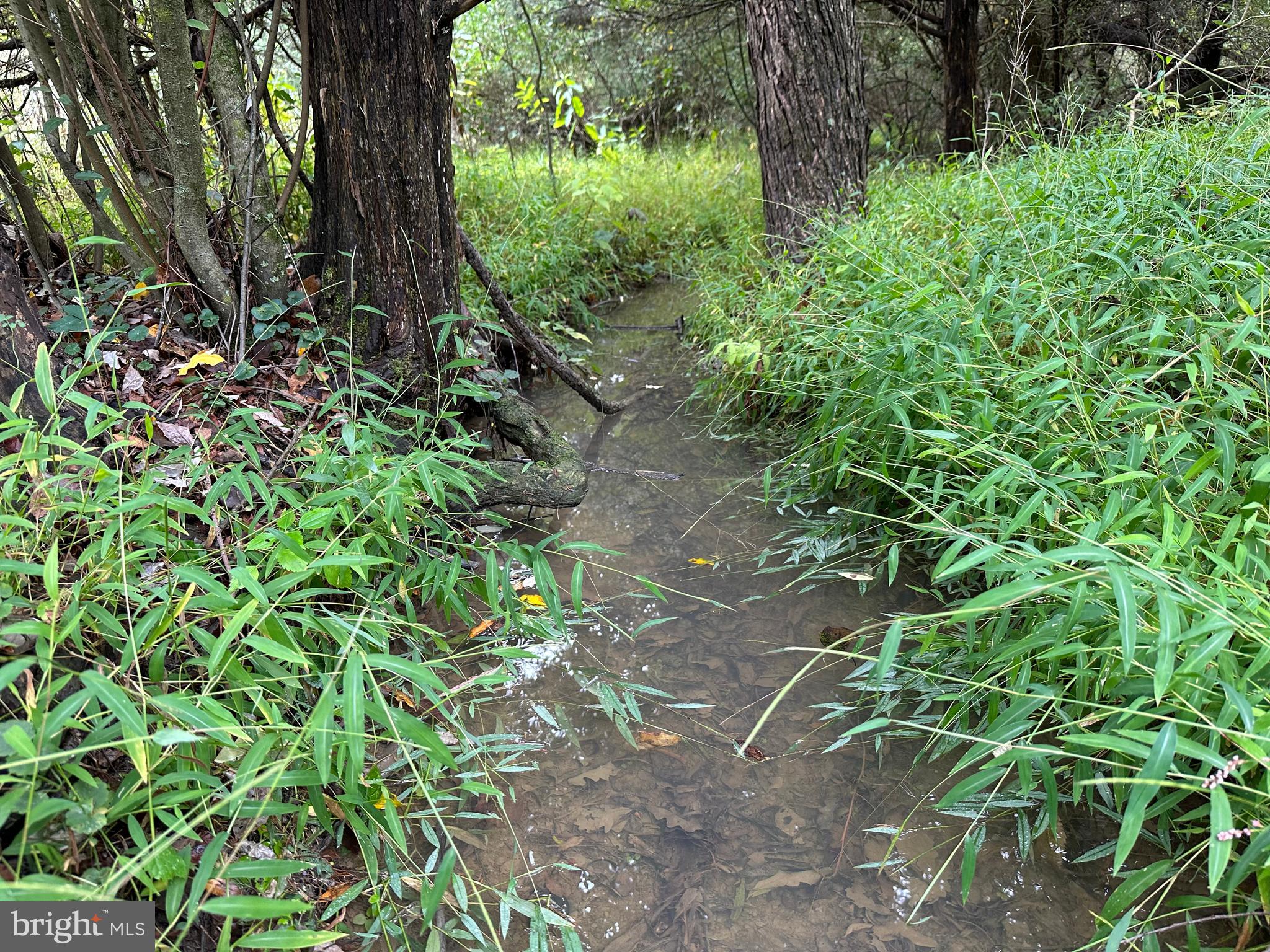 HAMILTON ESTATES - Land