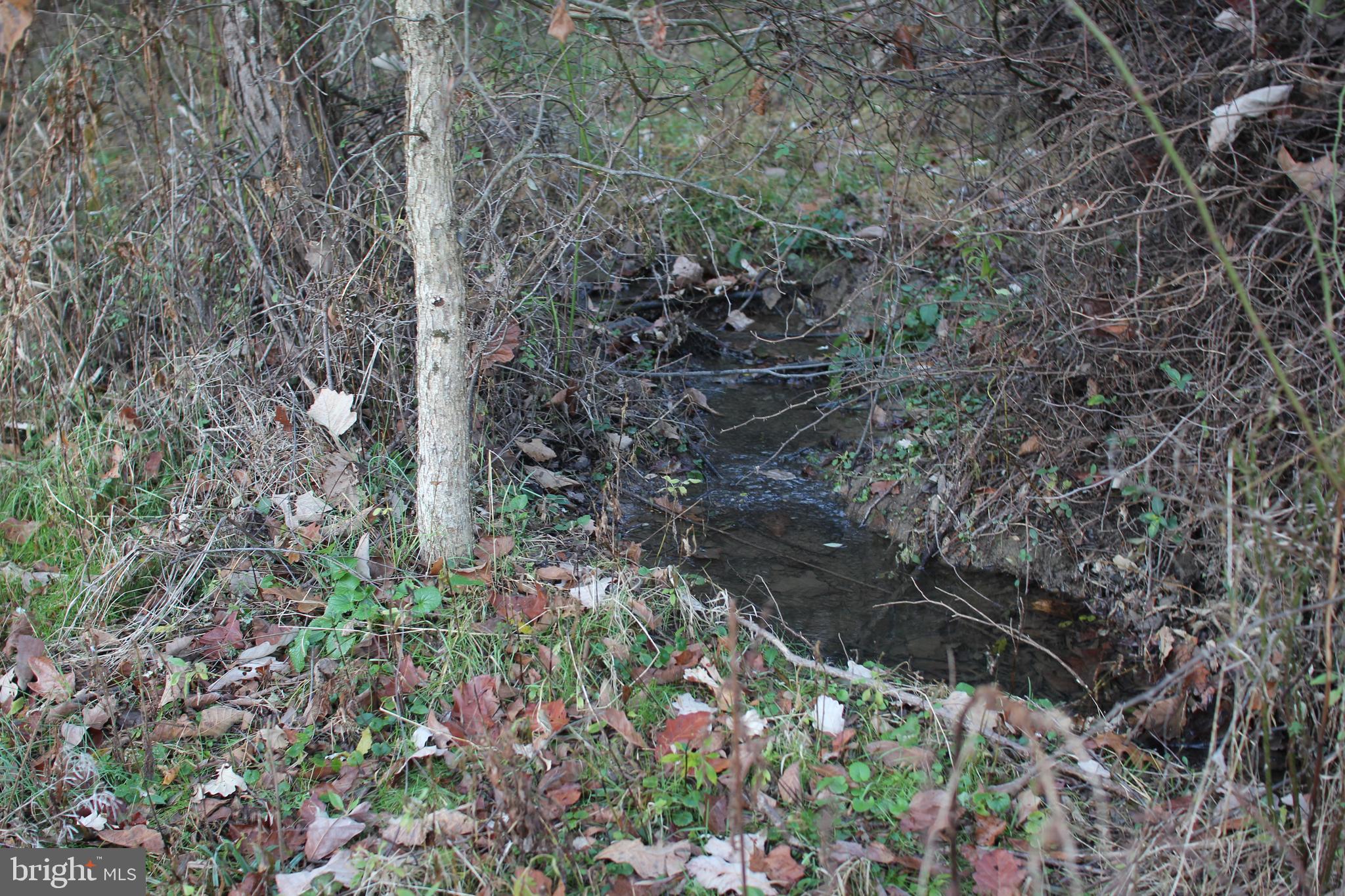 HAMILTON ESTATES - Land