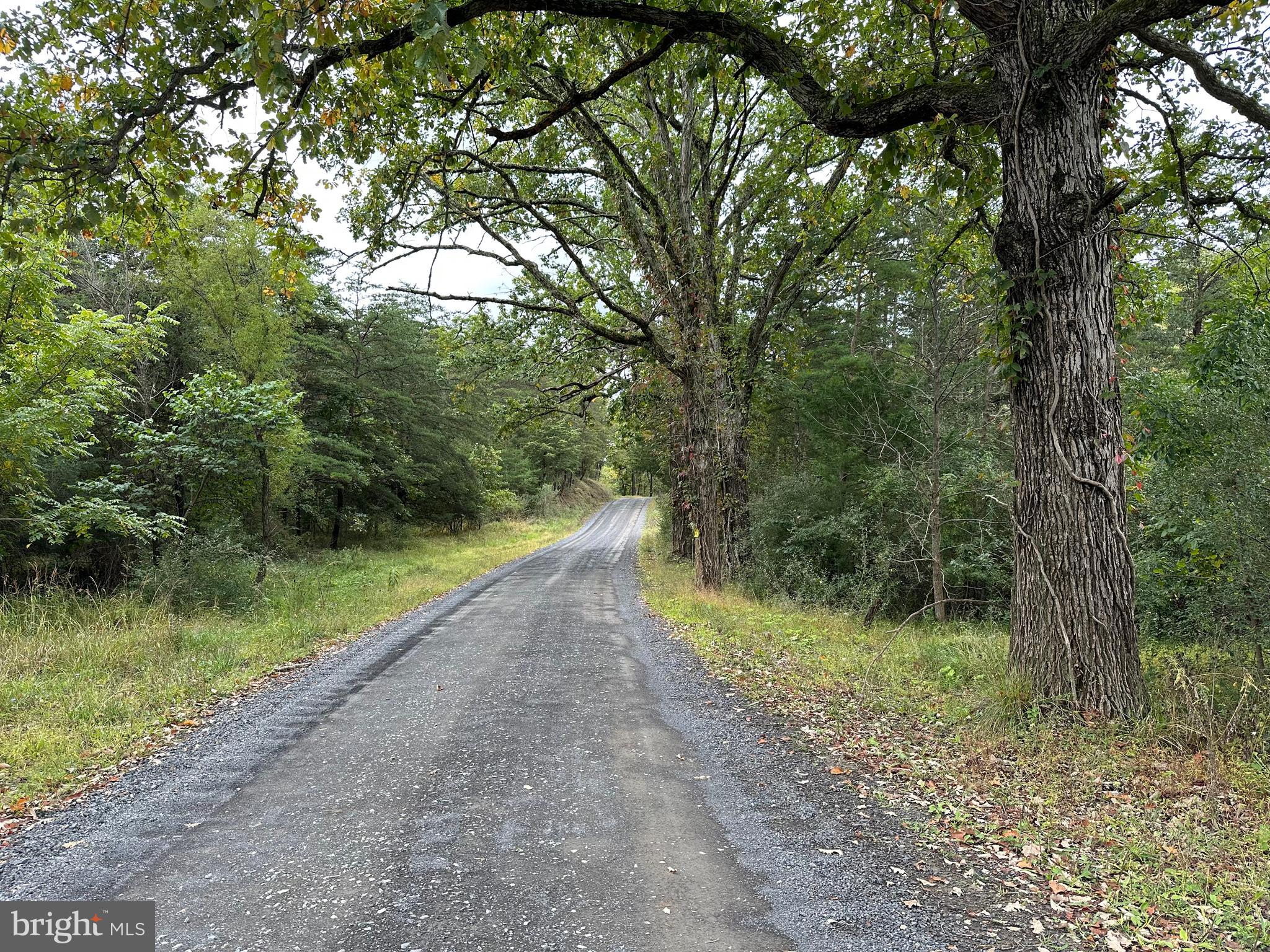 HAMILTON ESTATES - Land