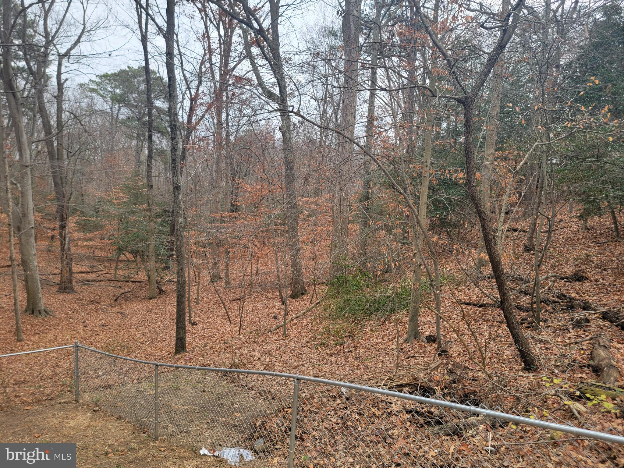 12428 ALGONQUIN TRL TRAIL