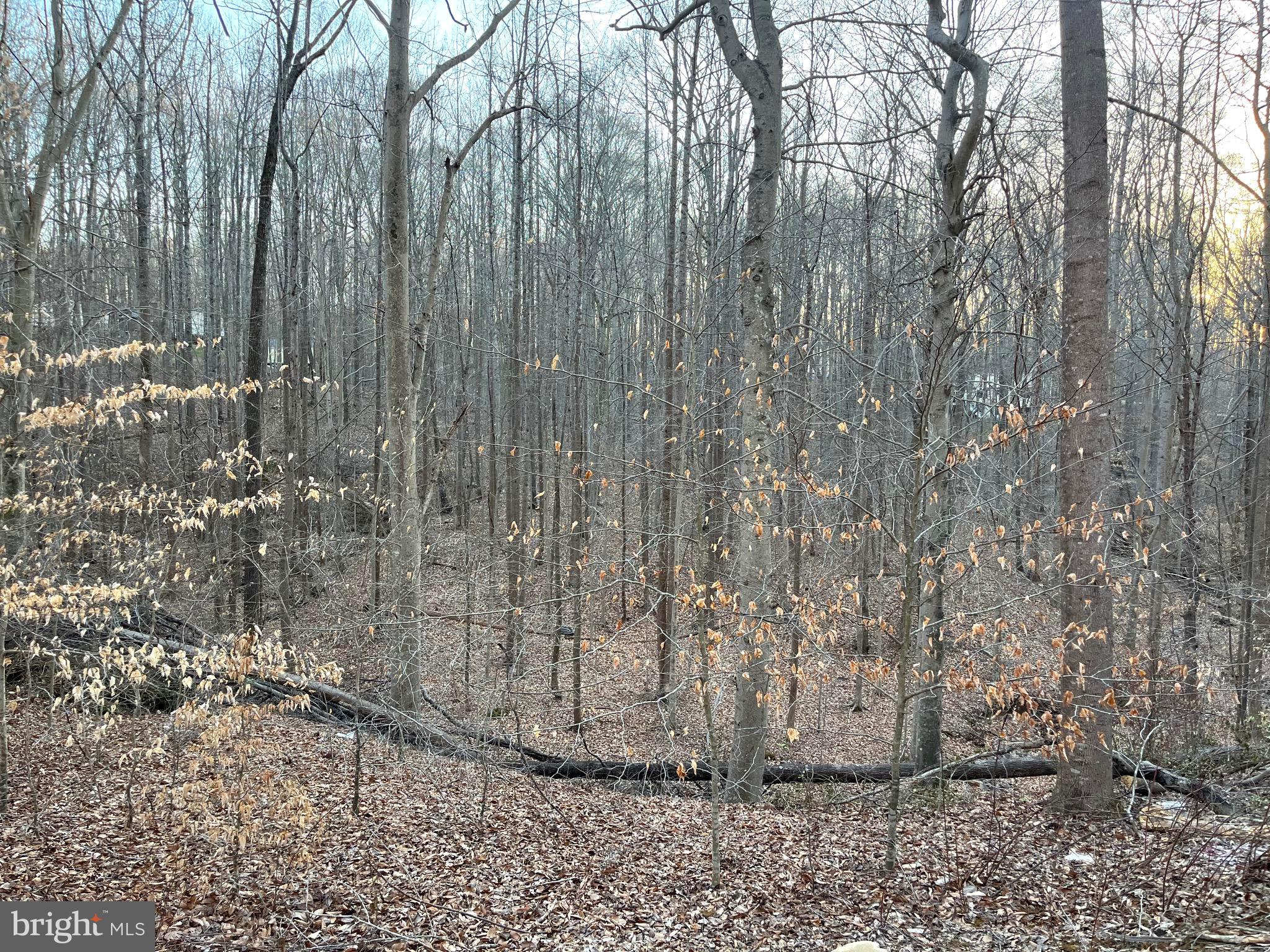 CANNON BLUFF ESTATES - Residential