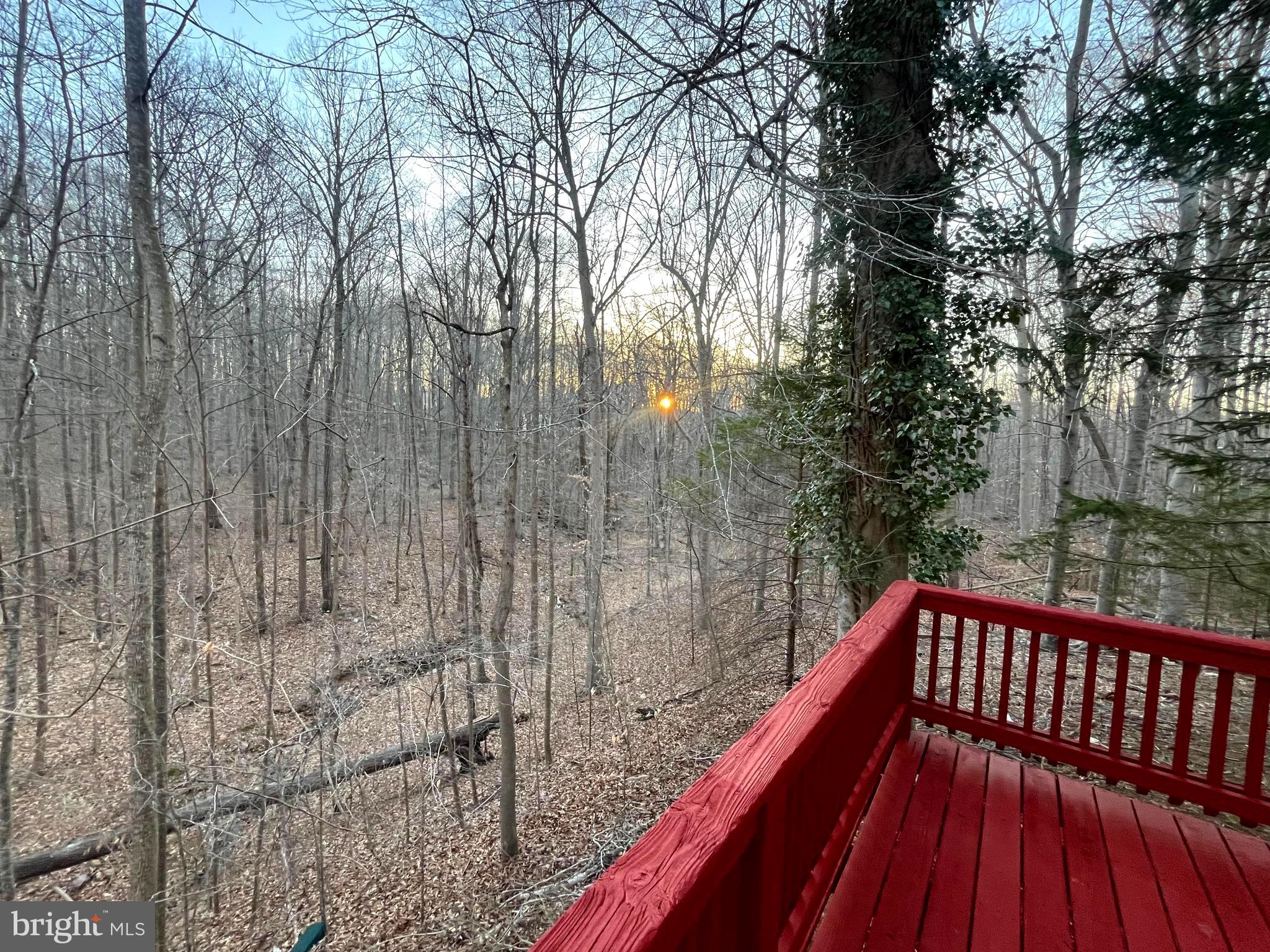 CANNON BLUFF ESTATES - Residential