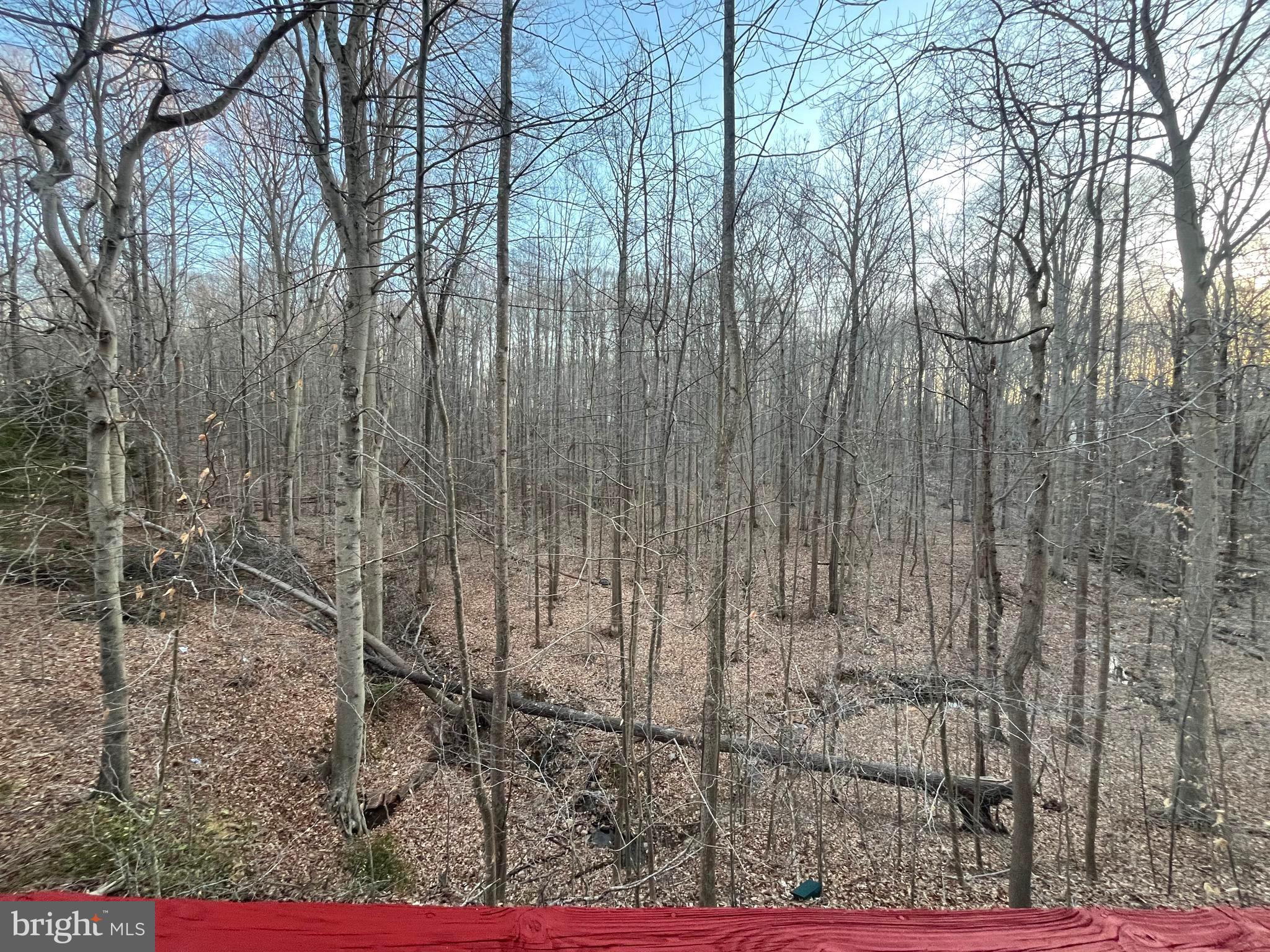 CANNON BLUFF ESTATES - Residential