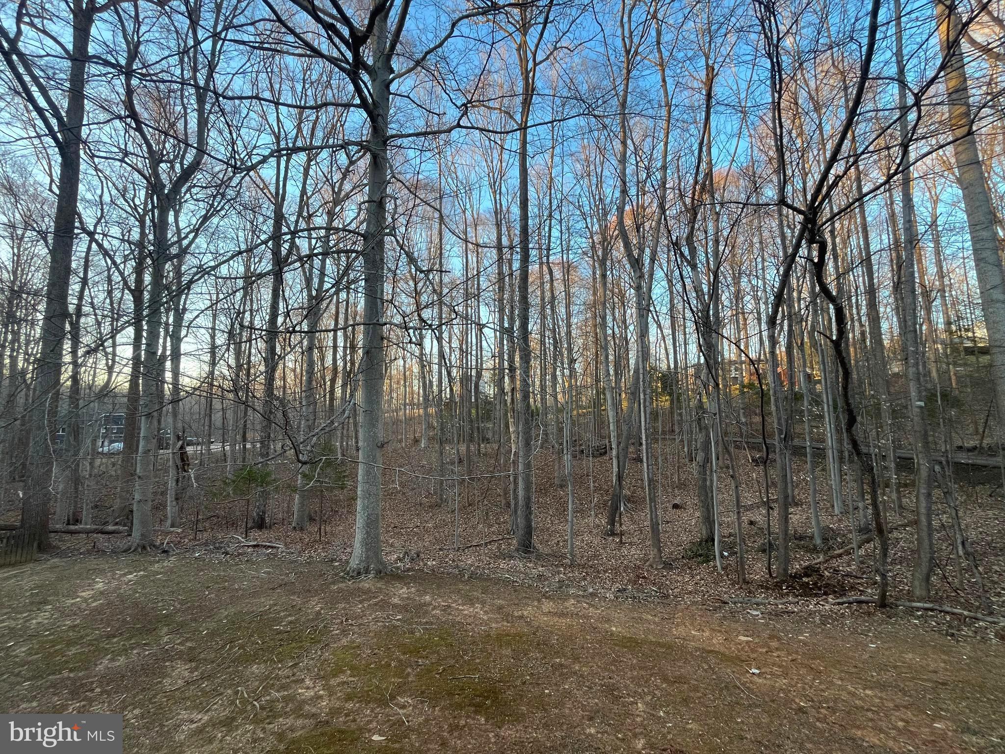 CANNON BLUFF ESTATES - Residential