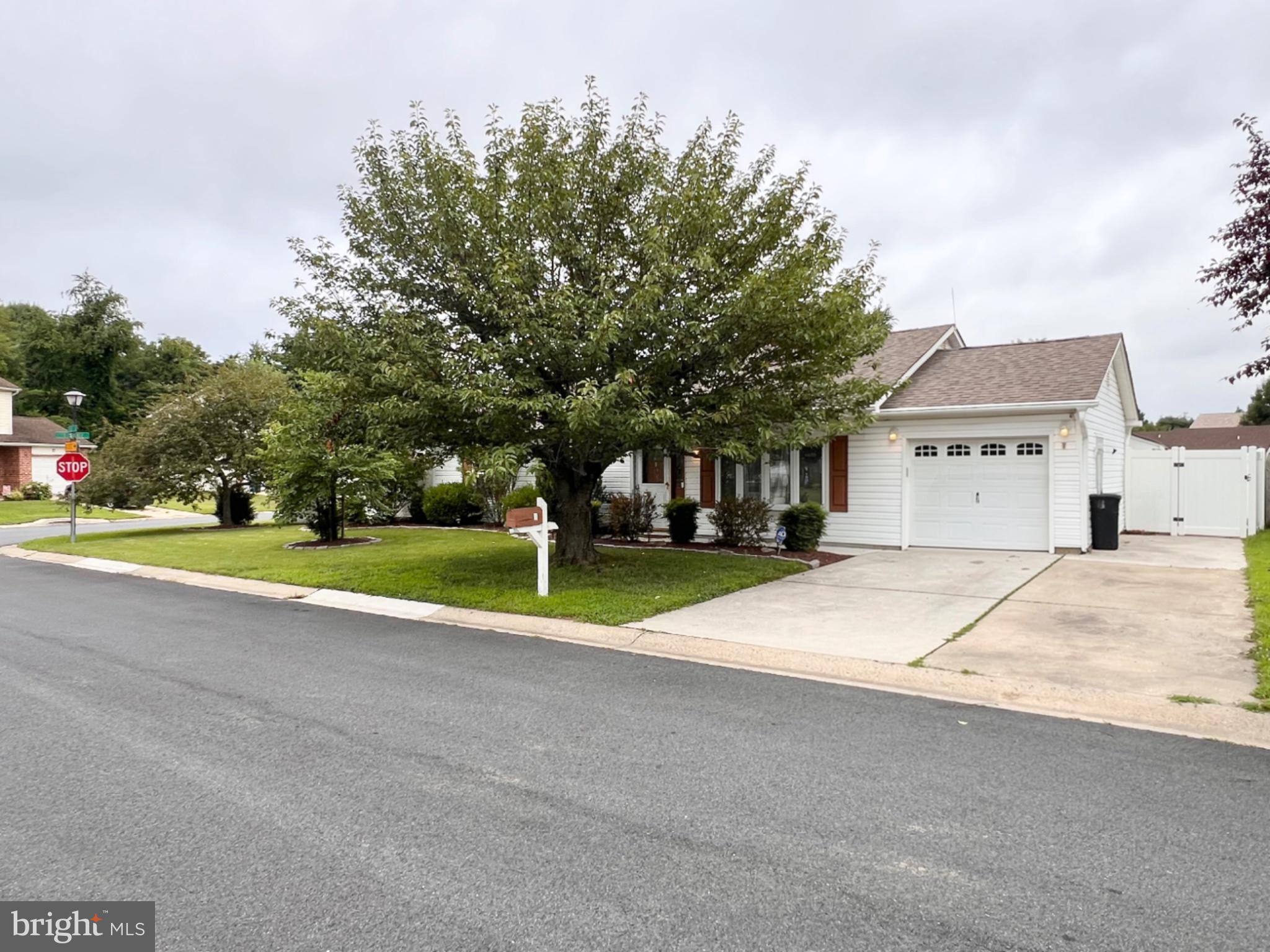 8 ROSE TERRACE
