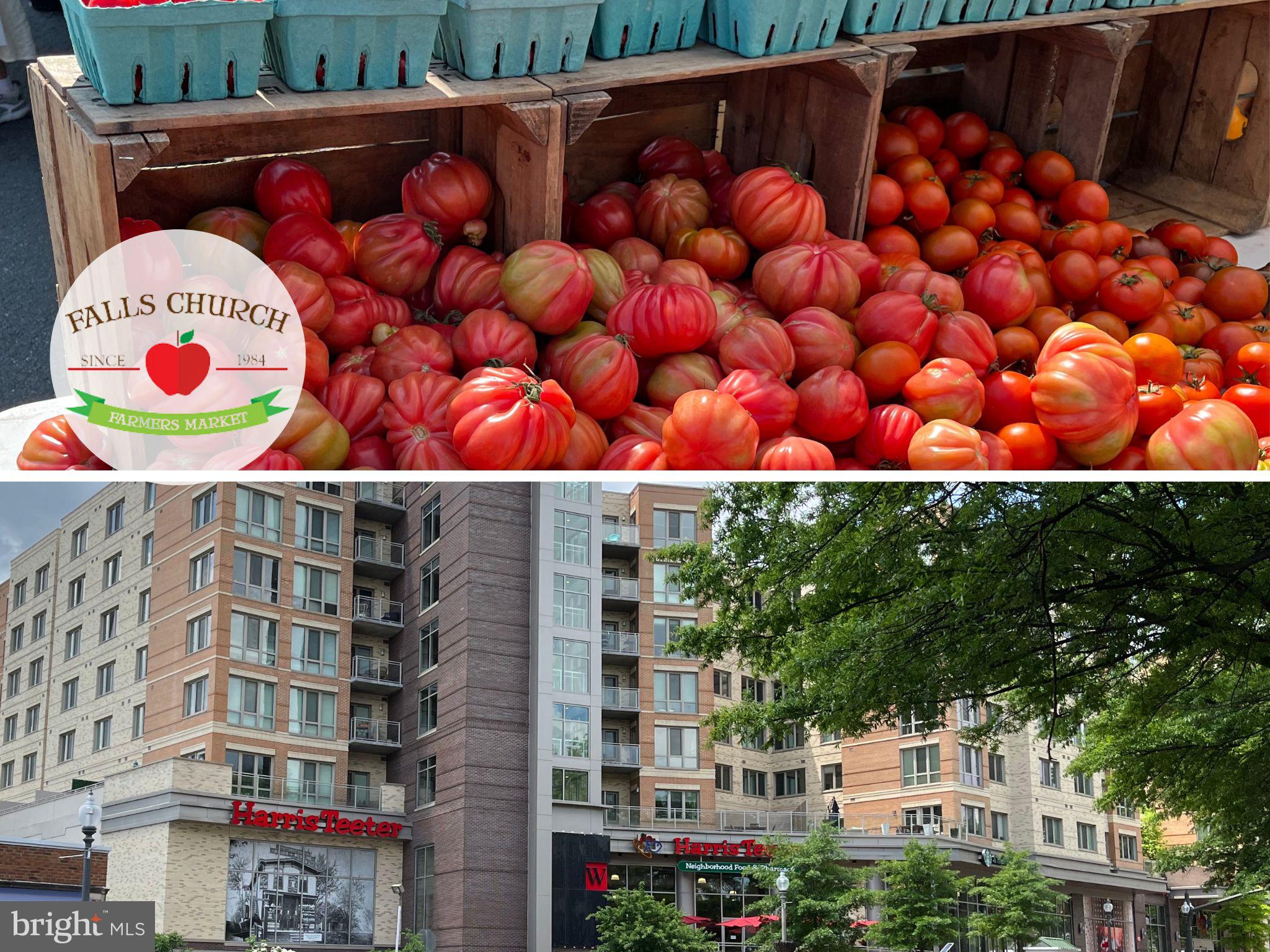 BROADMONT - Residential