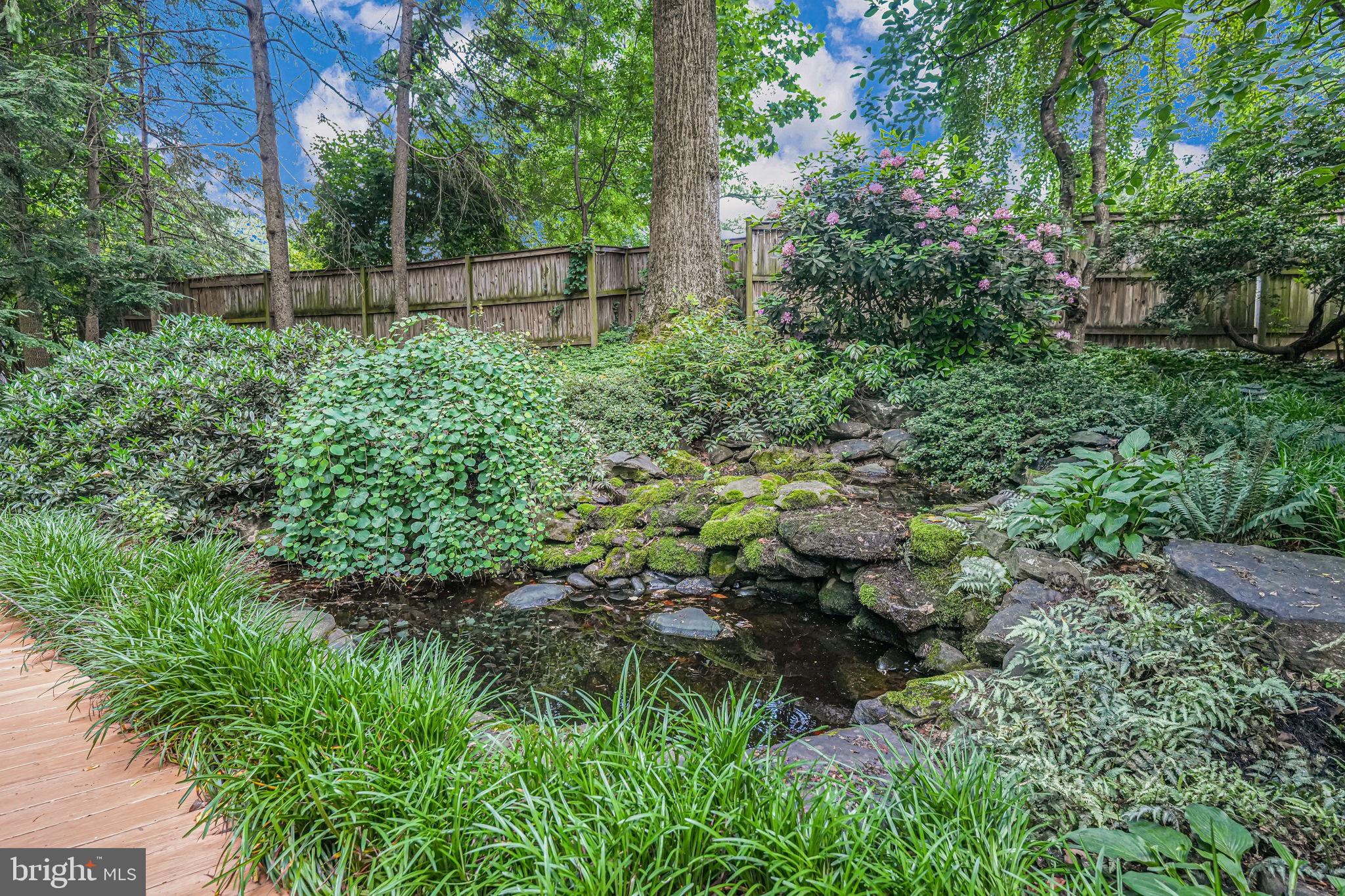 CARDEROCK SPRINGS - Residential