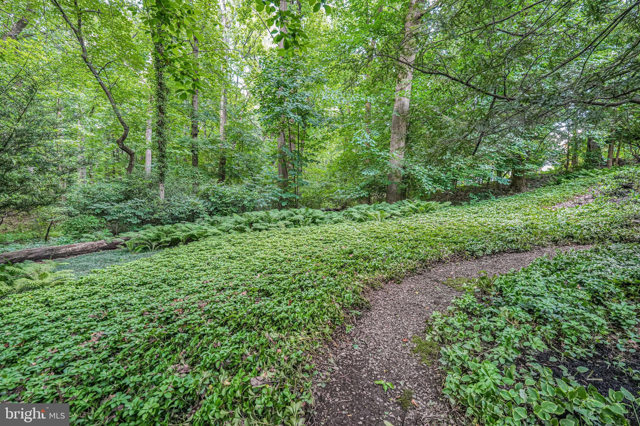 CARDEROCK SPRINGS - Residential