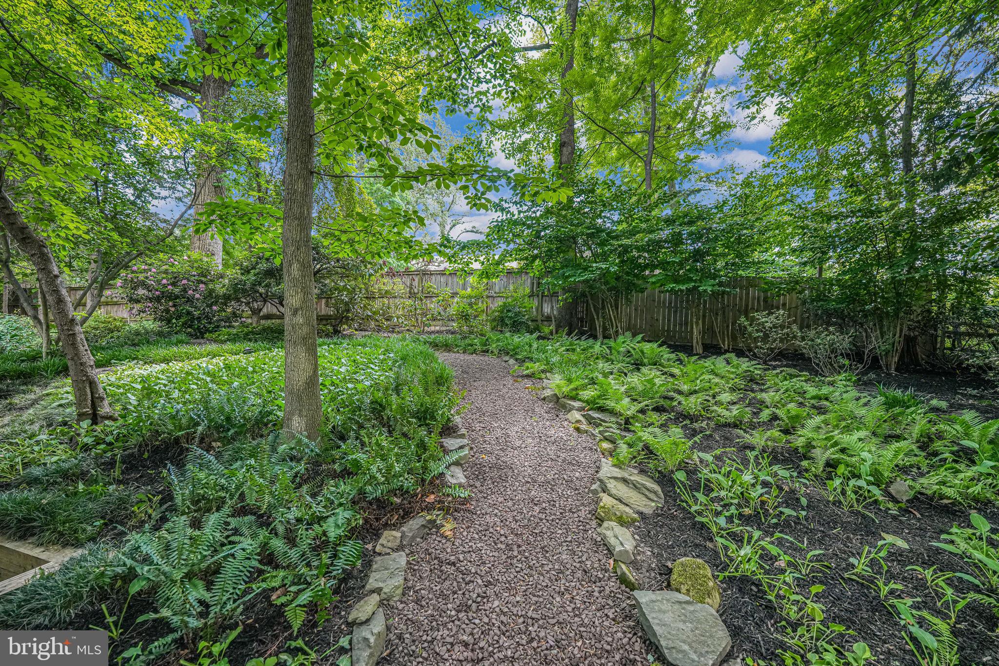 CARDEROCK SPRINGS - Residential