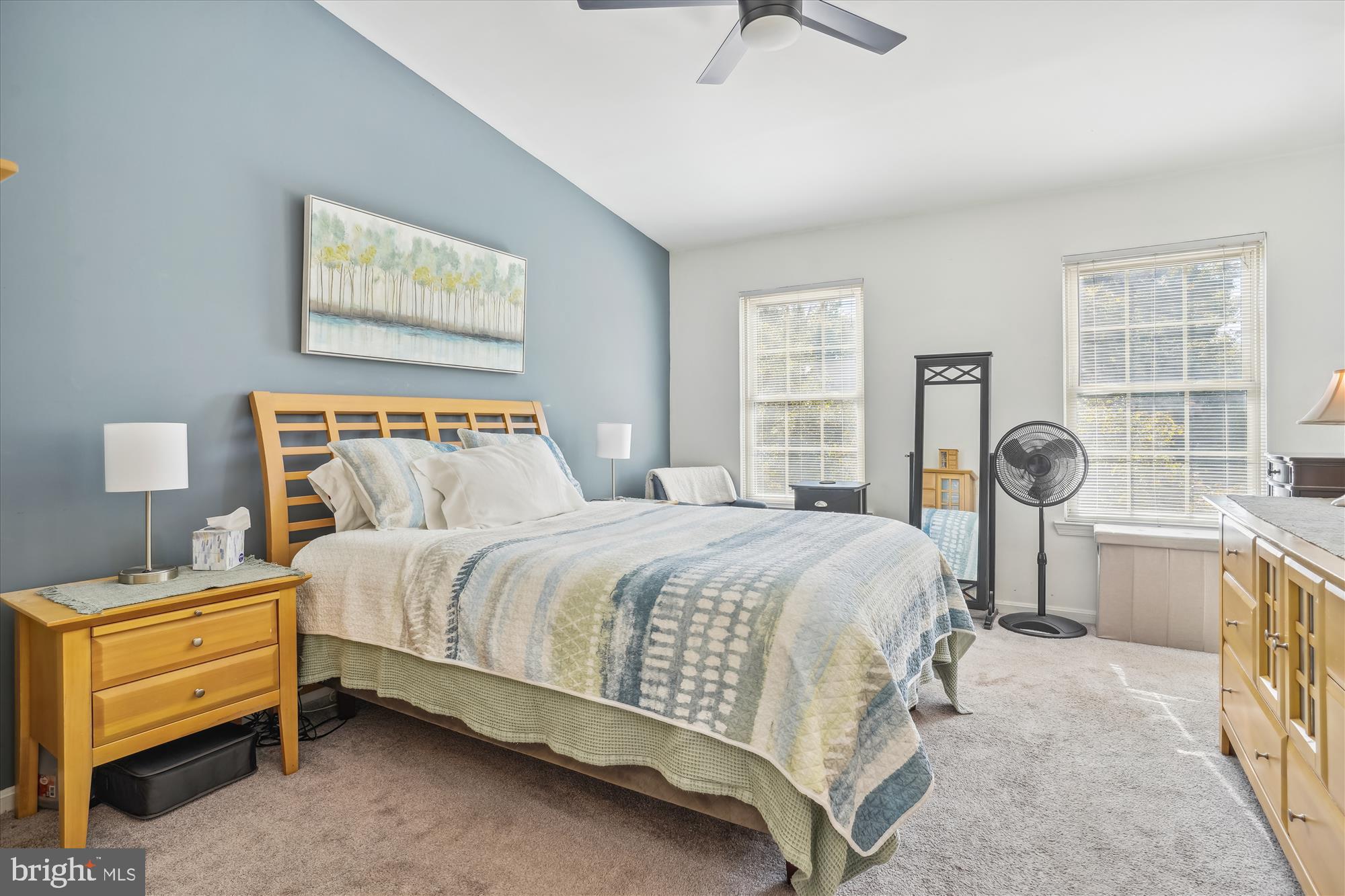 ASHBURN VILLAGE - Residential