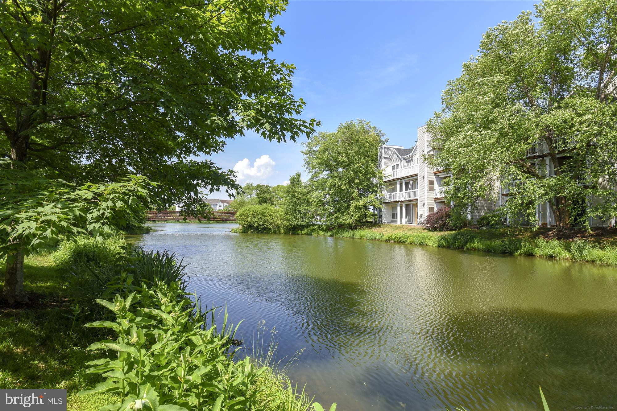 ASHBURN VILLAGE - Residential