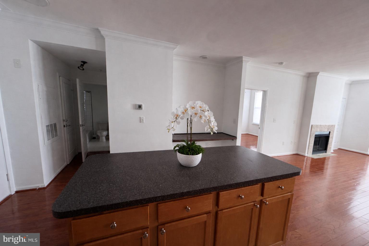 SAVOY AT RESTON TOWN CENTER - Residential