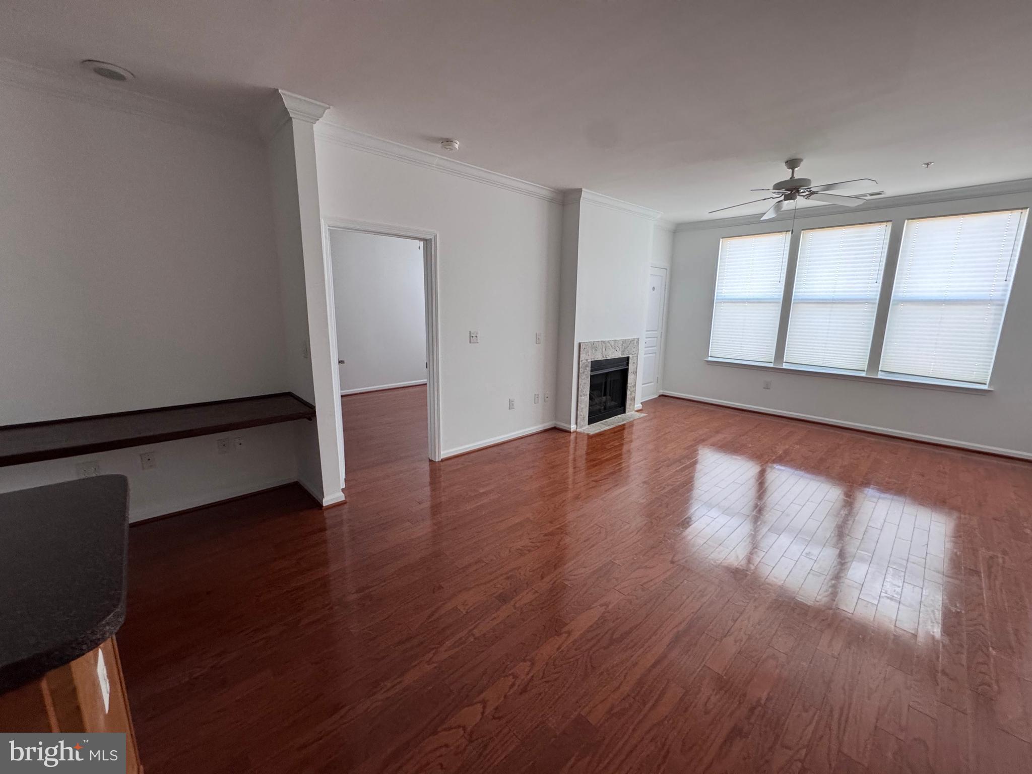 SAVOY AT RESTON TOWN CENTER - Residential