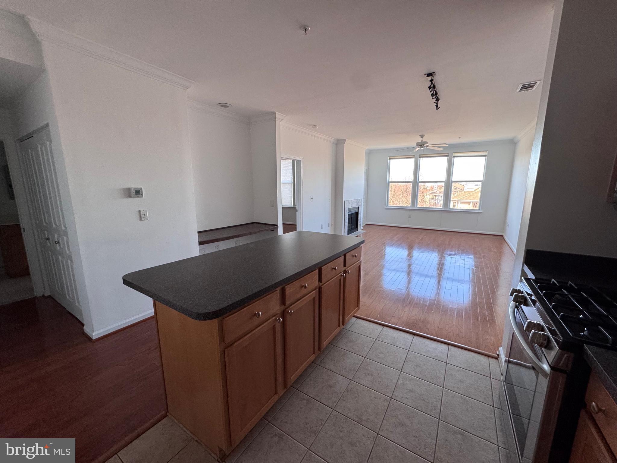 SAVOY AT RESTON TOWN CENTER - Residential