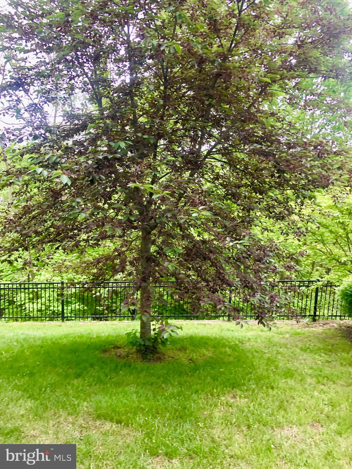 HYATTSVILLE - Residential Lease