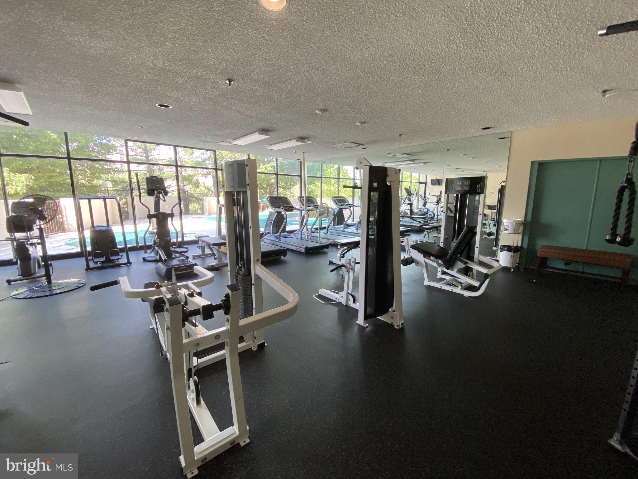 ALEXANDRIA - Residential Lease