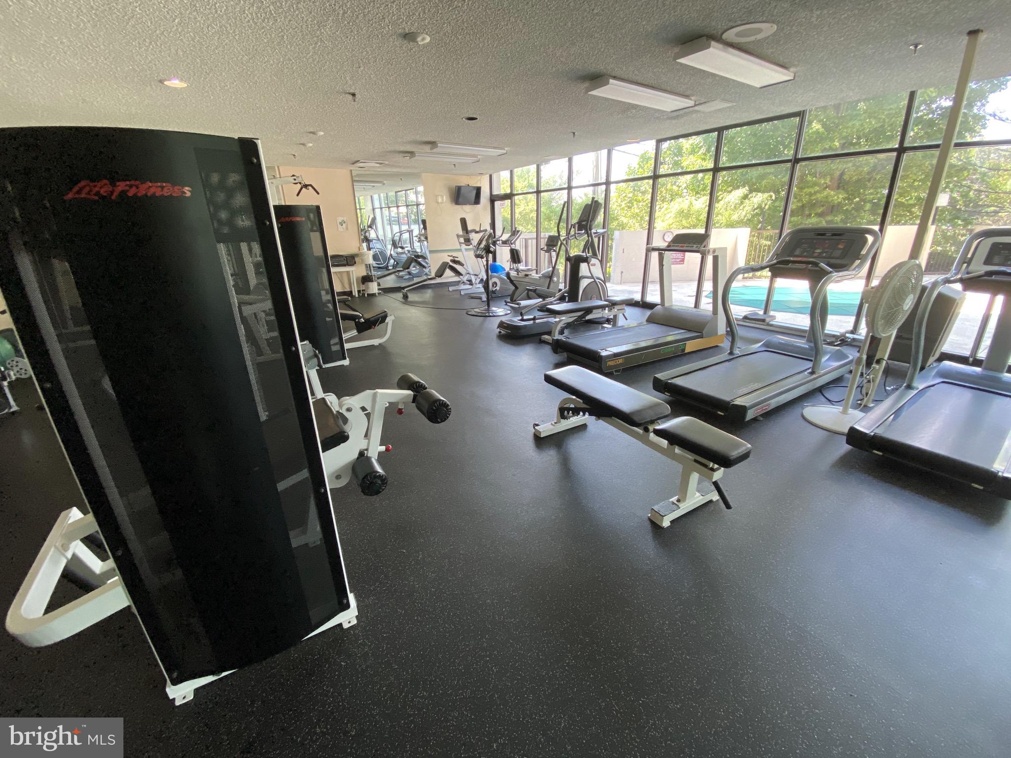 ALEXANDRIA - Residential Lease