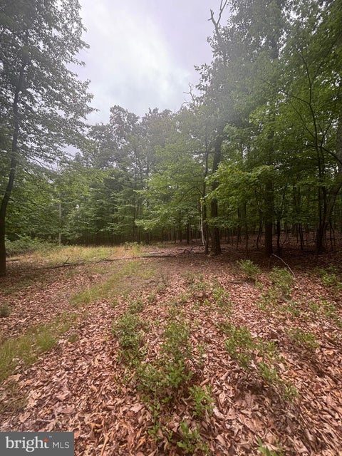 Vacant Land For Sale - LOT 55 Grimaldi Way<br/> Berkeley County, HEDGESVILLE, WV 25427