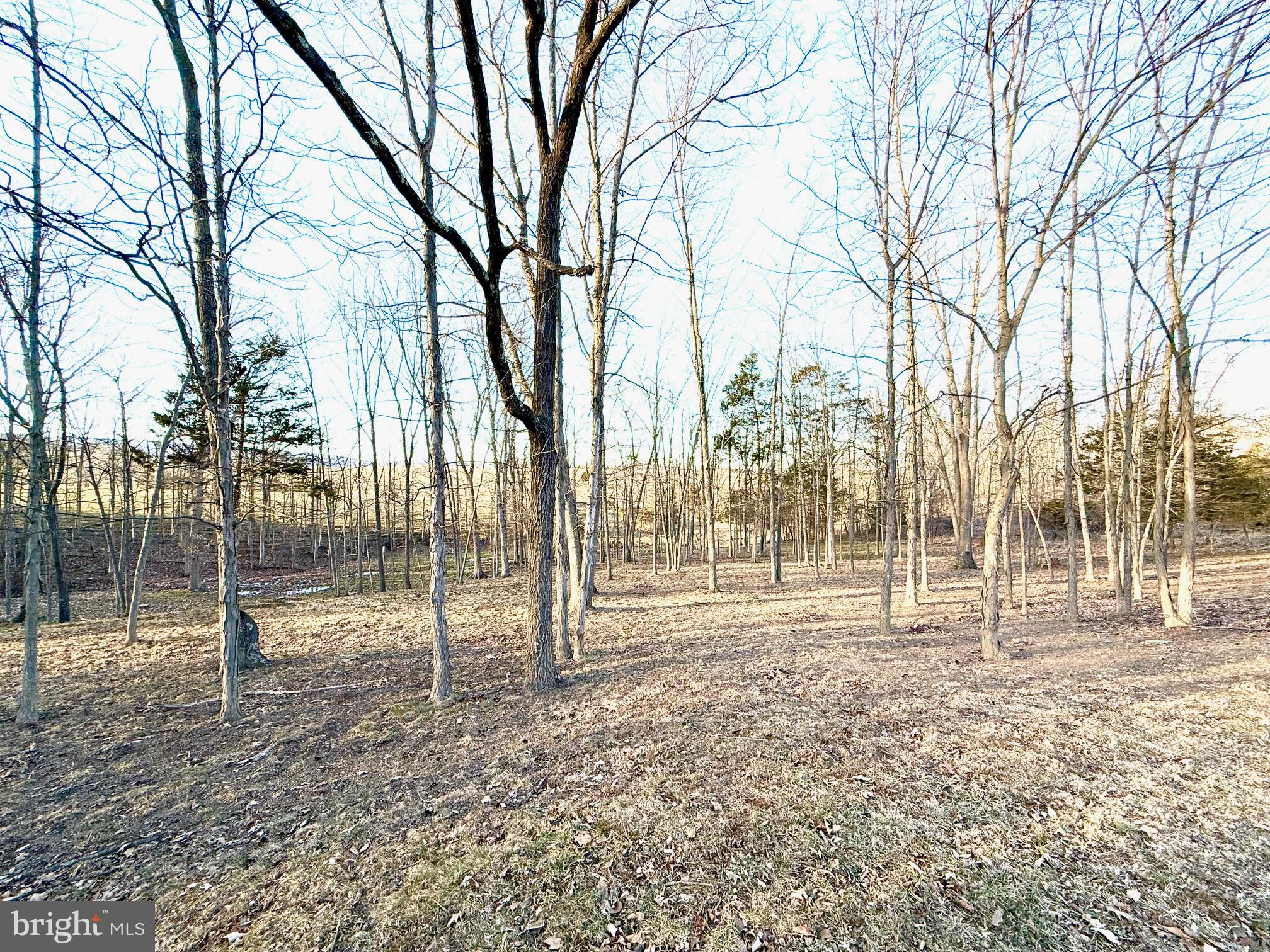 GRAND VIEW - Residential