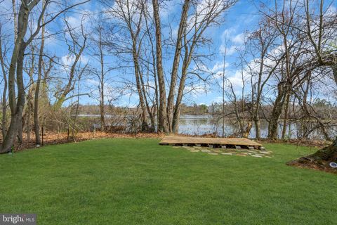 listing image 59