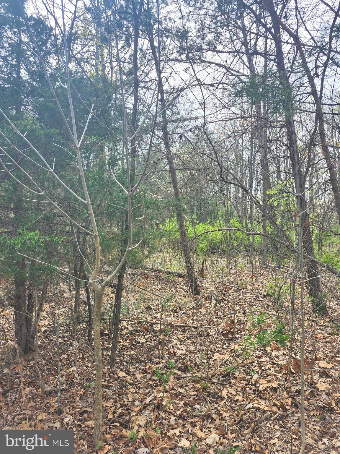 BUFFALO RIDGE RANCHETTES - Land