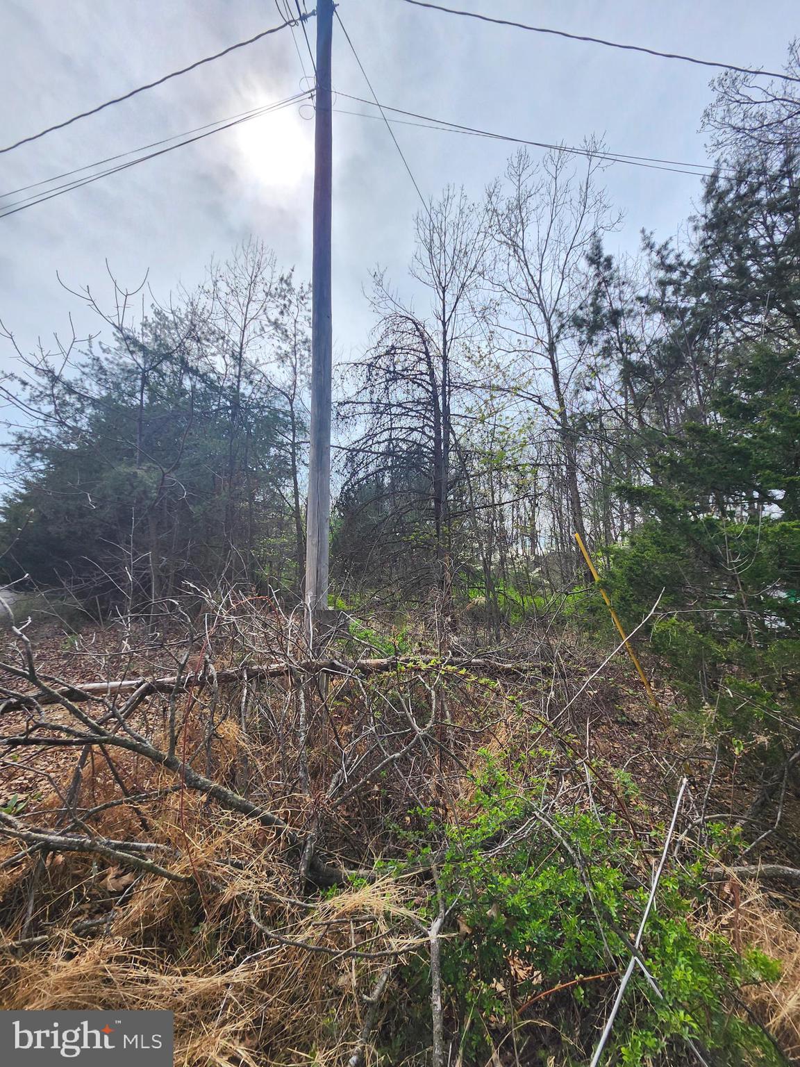 BUFFALO RIDGE RANCHETTES - Land