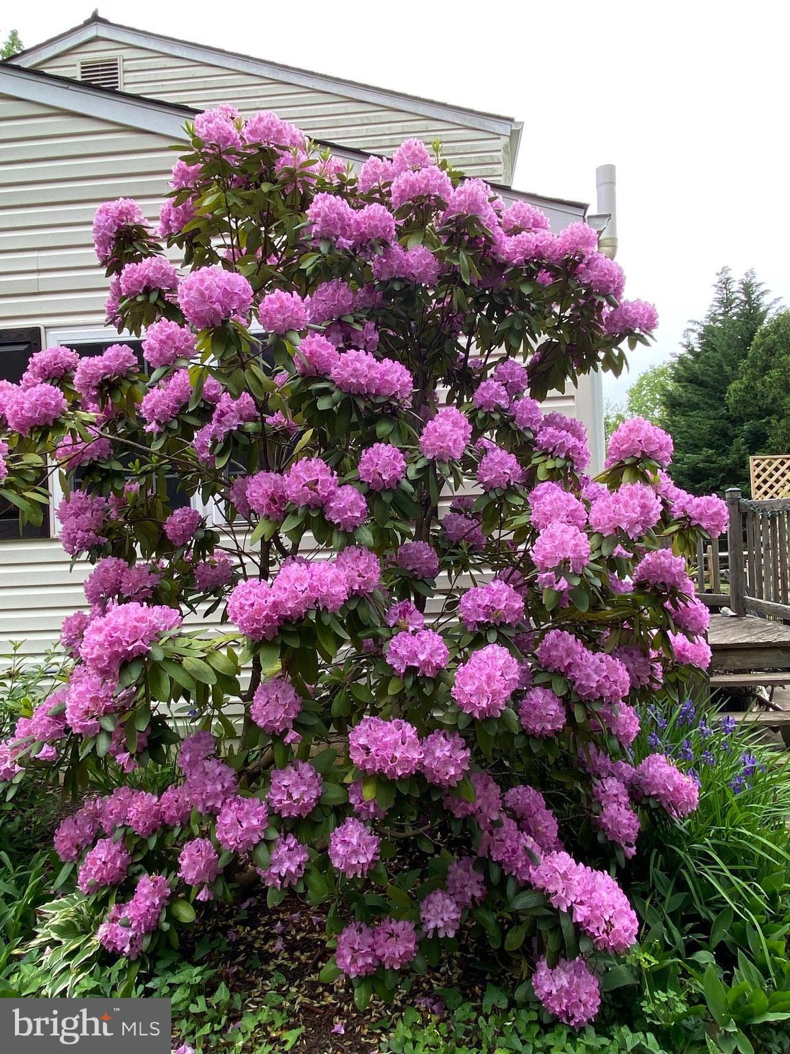 VILLAGE OF OWEN BROWN - Residential