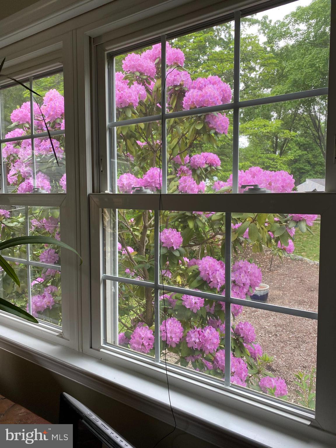 VILLAGE OF OWEN BROWN - Residential