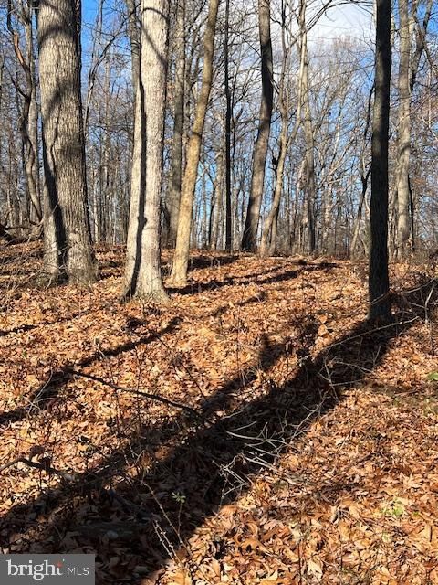 Vacant Land For Sale - Five Forks Road<br/> STEWARTSTOWN, PA 17363