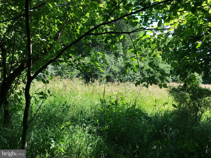 Beautiful, almost four acres vacation or permanant residence building site. Partially wooded, private, mostly level, with rare river access. Lot has passed a Perk test  Plat approved