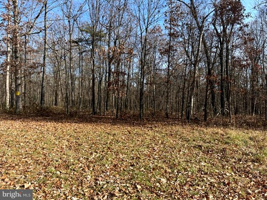 Terrific parcel of land about 1/2 hour north of Winchester.  No covenants, no restrictions.  Great hunting. Trails through the land.  Fully wooded with nice hardwoods.  Has over 900' frontage on N. Timber Ridge Rd. Potential to subdivide. Excellent building sites.  Very close to the Morgan County, WV state line.  Land has not been surveyed or "perced" for septic.  Land may be in Forestry land use.   Seller will not be responsible for roll back taxes if the new Buyer changes the land use.  NEW SURVEY SHOWED THE PROPERTY WAS 15.844 ACRES RATHER THAN 21 ACRES AS STATED IN THE TAX RECORDS . PRICE ADJUSTED ACCORDINGLY