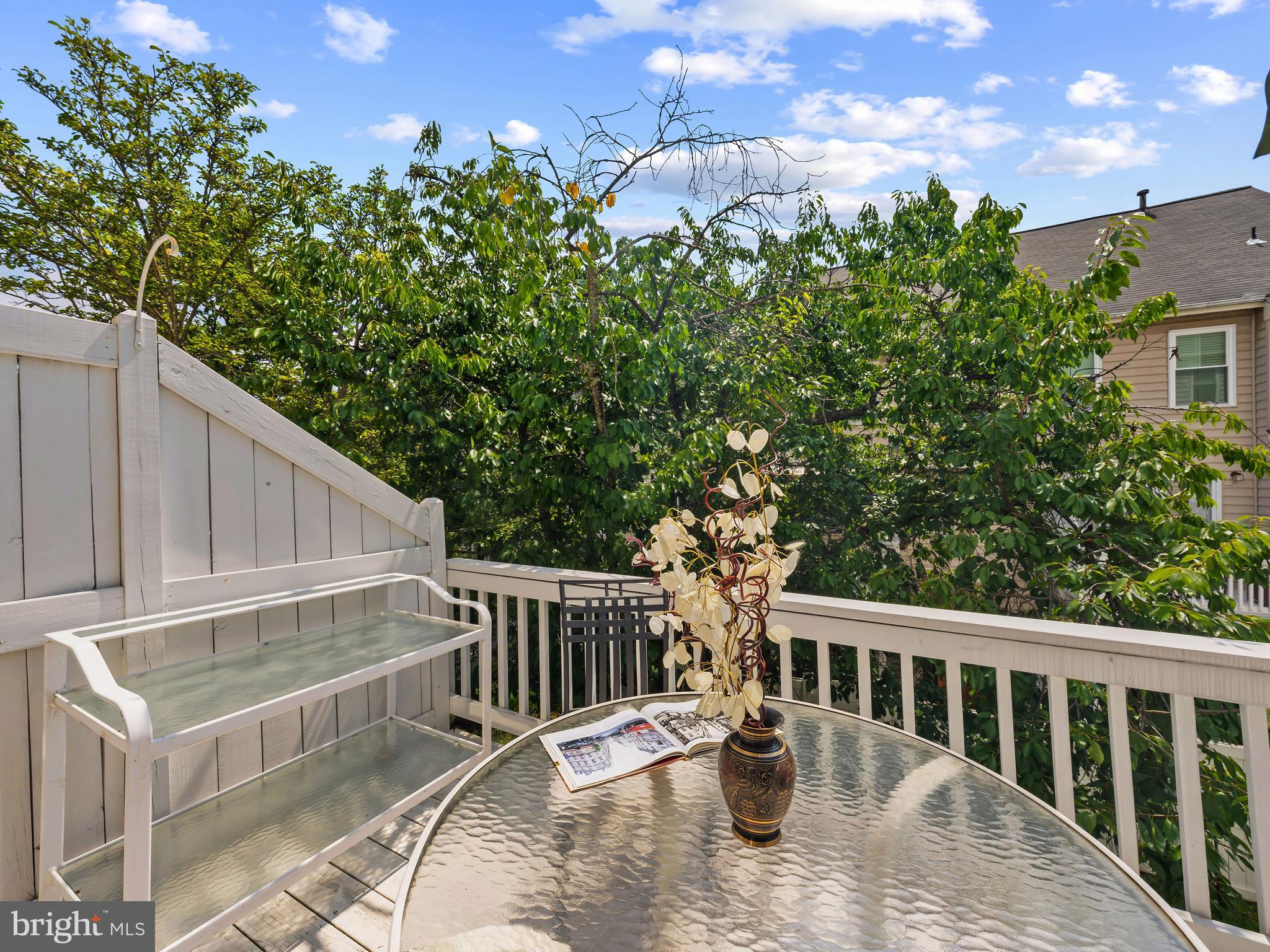 1711 BLUE FLINT COURT