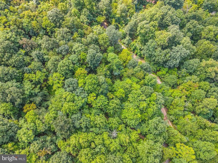 4.51 beautiful wooded acres.  Lot has a perc test. Will be served by a class one septic system for up to 4 bedrooms.  Perfect land to build your dream home. Won't last long! Schedule your showing today!