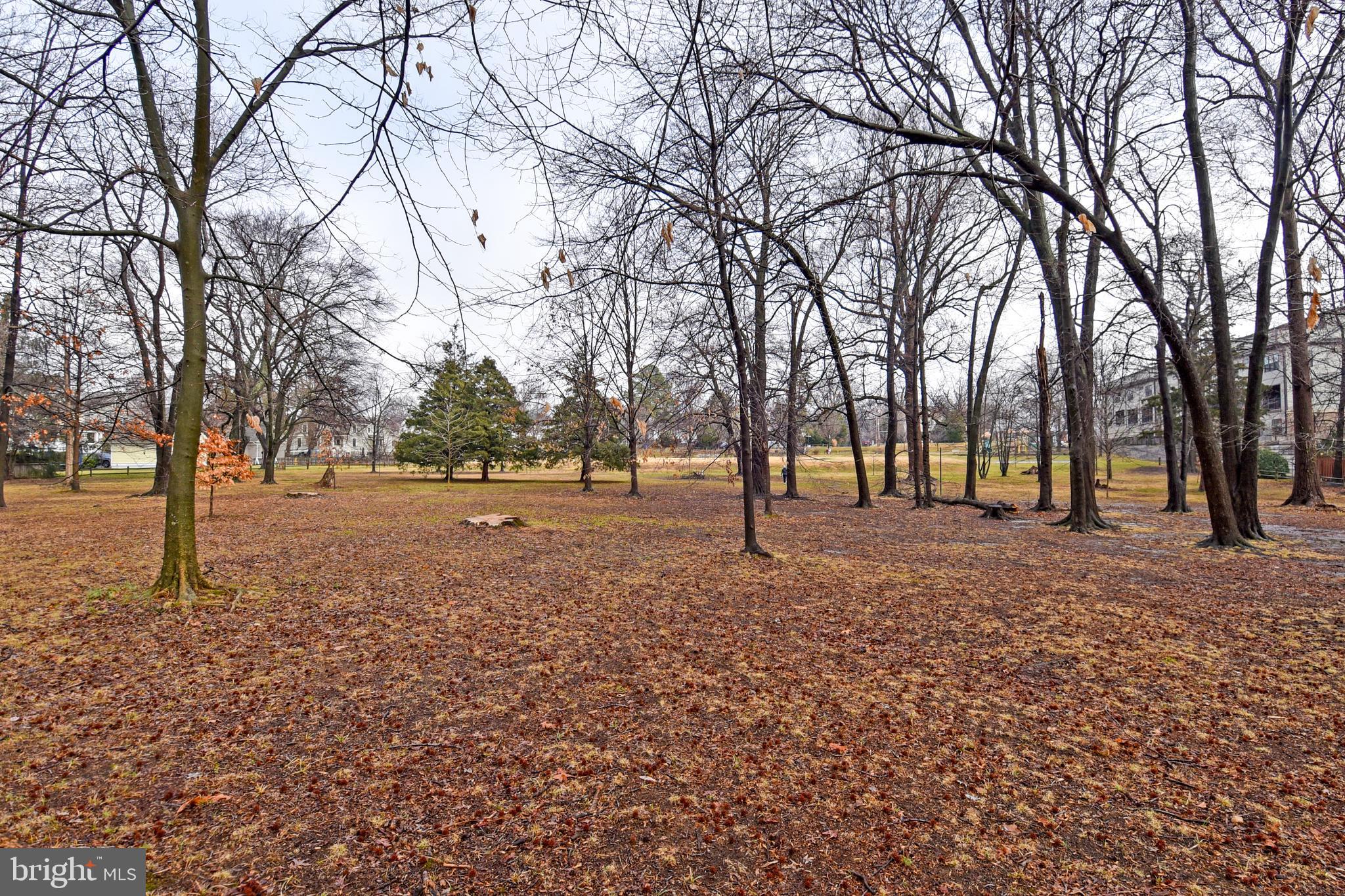 WASHINGTON COURTS - Residential Lease