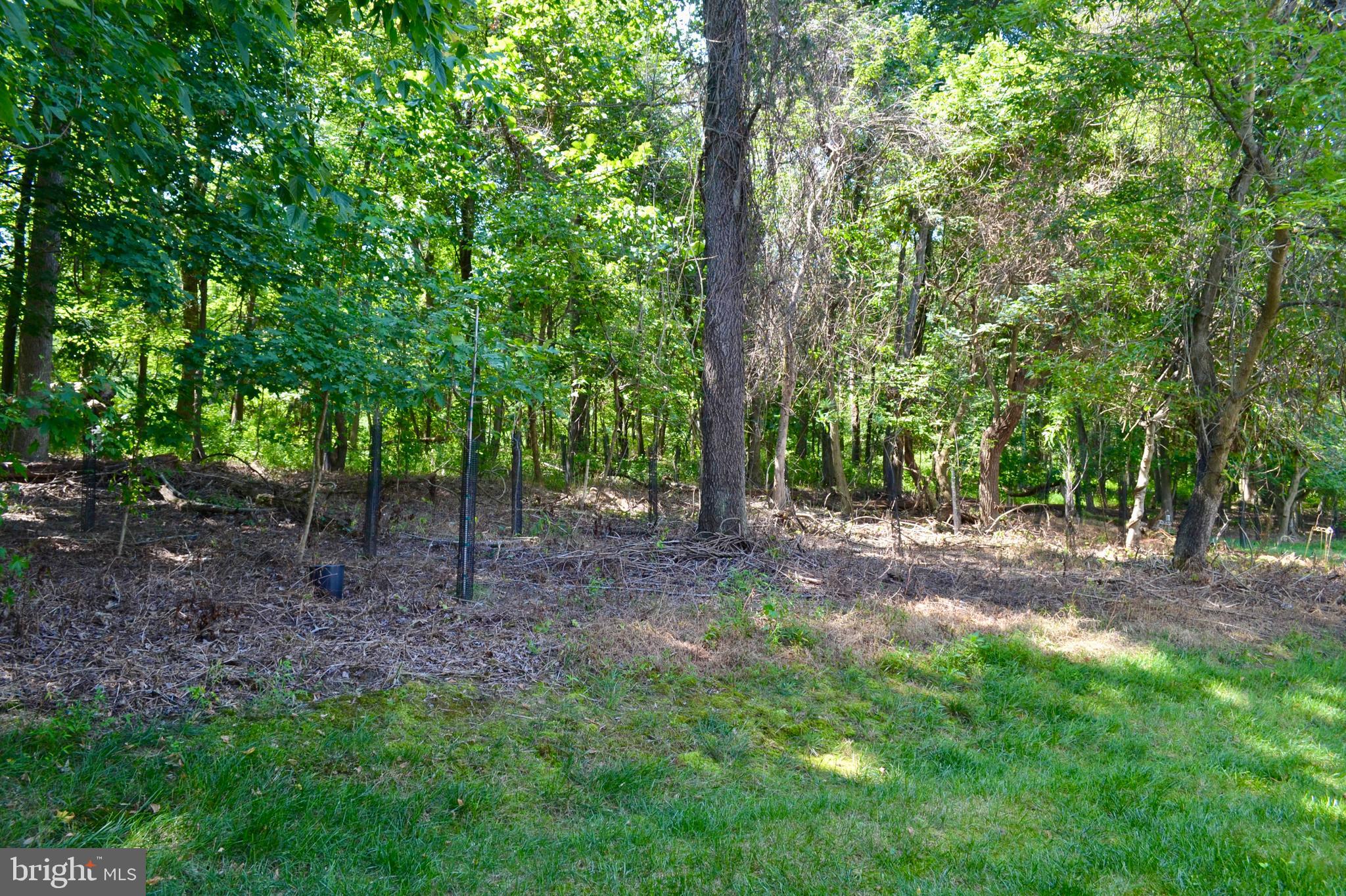 217 SALTGRASS DRIVE