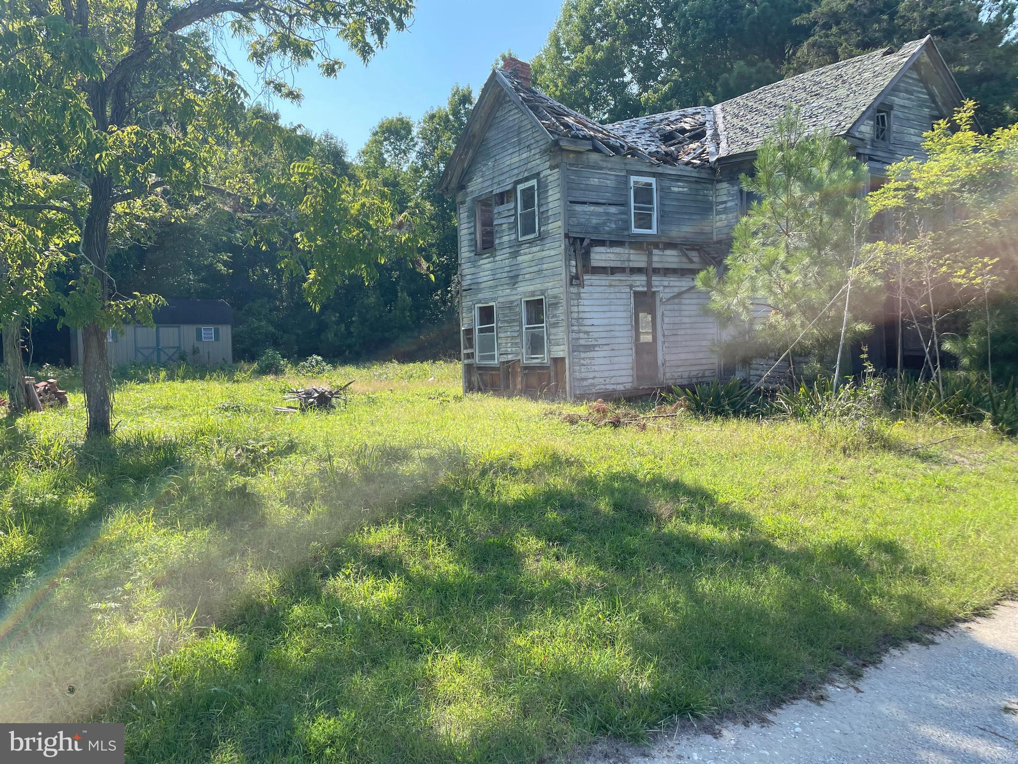 Main image without alt text