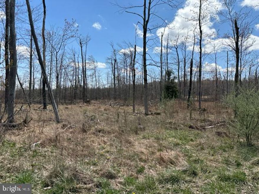 MT. STORM - 21.05 ACRES SUBDIVIDED INTO SEVEN (7) BUILDING LOTS IN "CHERRY VIEW ACRES". LOTS RANGE IN SIZE FROM 2.3 ACRES TO 4 ACRES. PUBLIC WATER AND ELECTRIC ON SITE AND ALL LOTS ARE "PERC TESTED". FRONTAGE ON "CHERRY RIDGE ROAD".  LEVEL BUILDING LOTS, FULLY WOODED, PUBLIC UTILITIES.