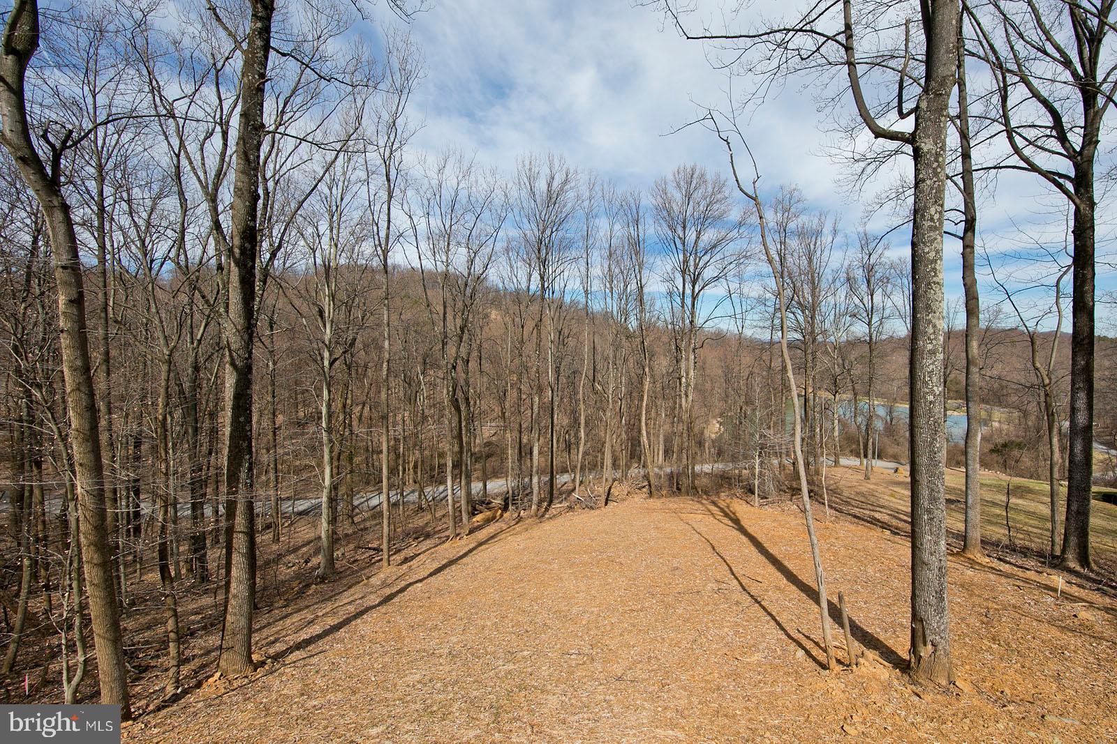 SHEN FARMS MT LAKE - Residential