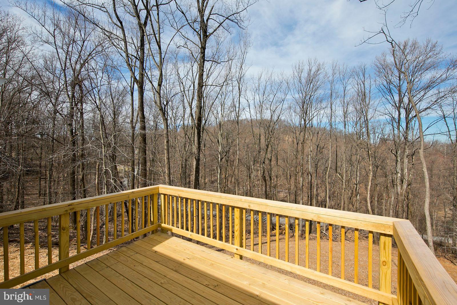 SHEN FARMS MT LAKE - Residential