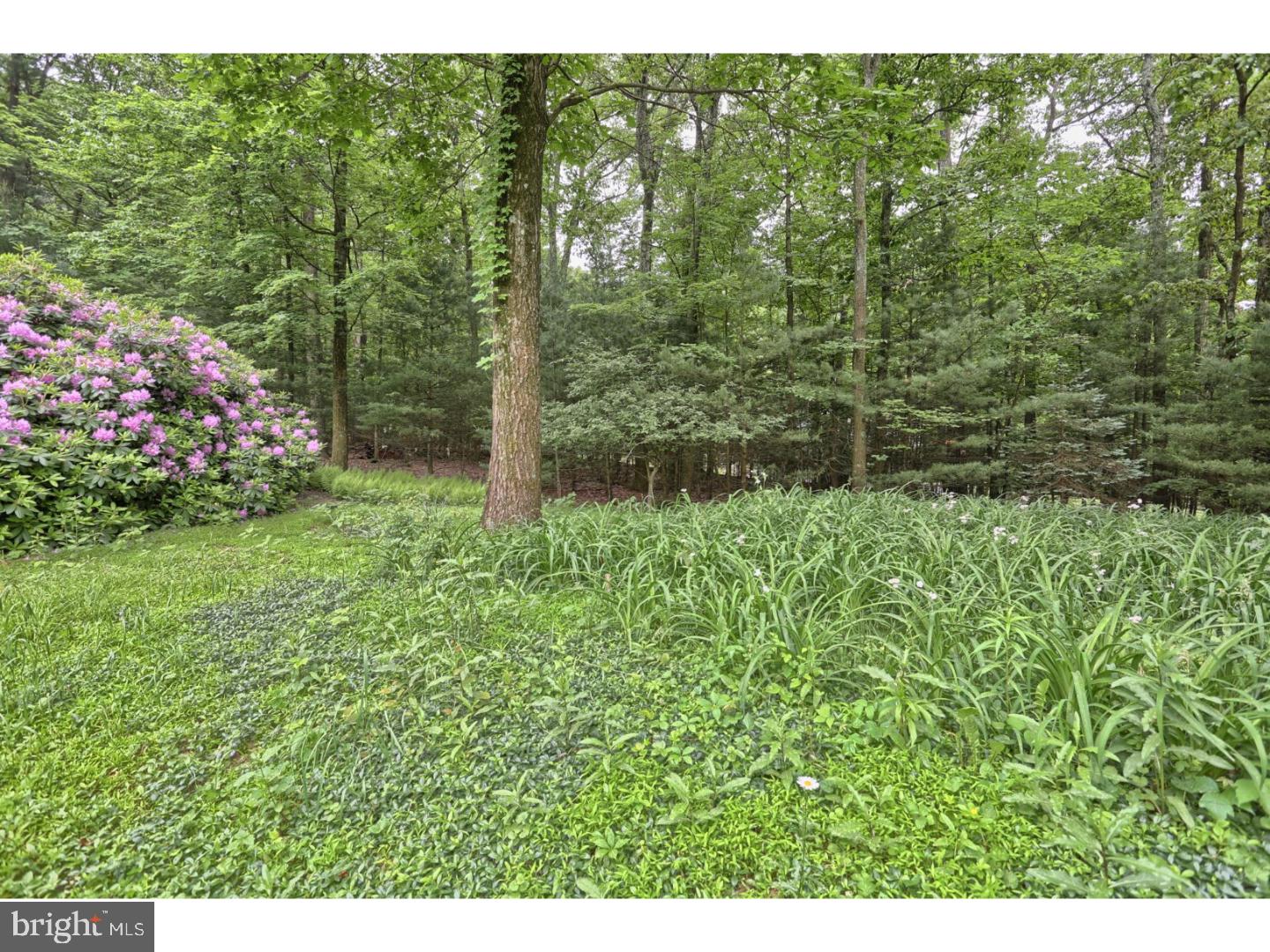 LAKE WYNONAH - Residential