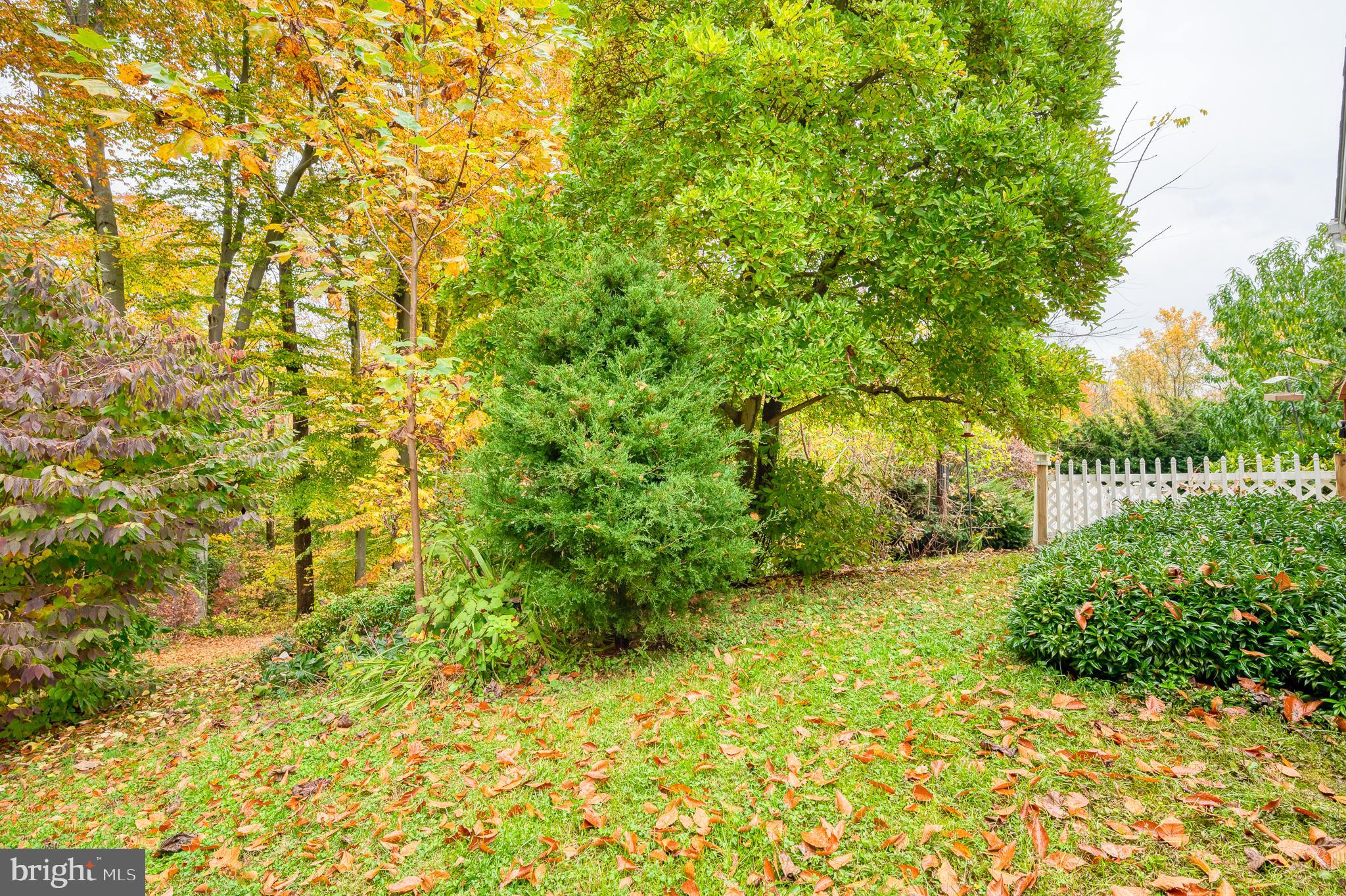 HARFORD WOODS - Residential