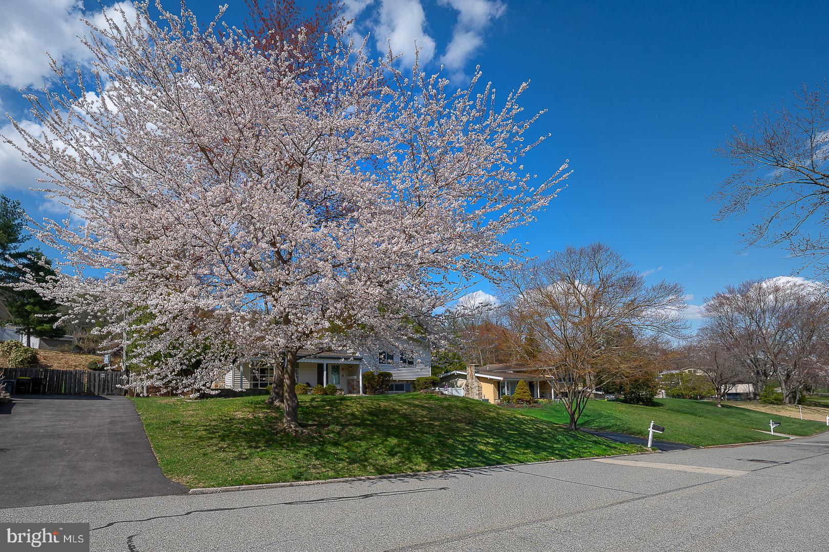 EXECUTIVE ESTATES - Residential