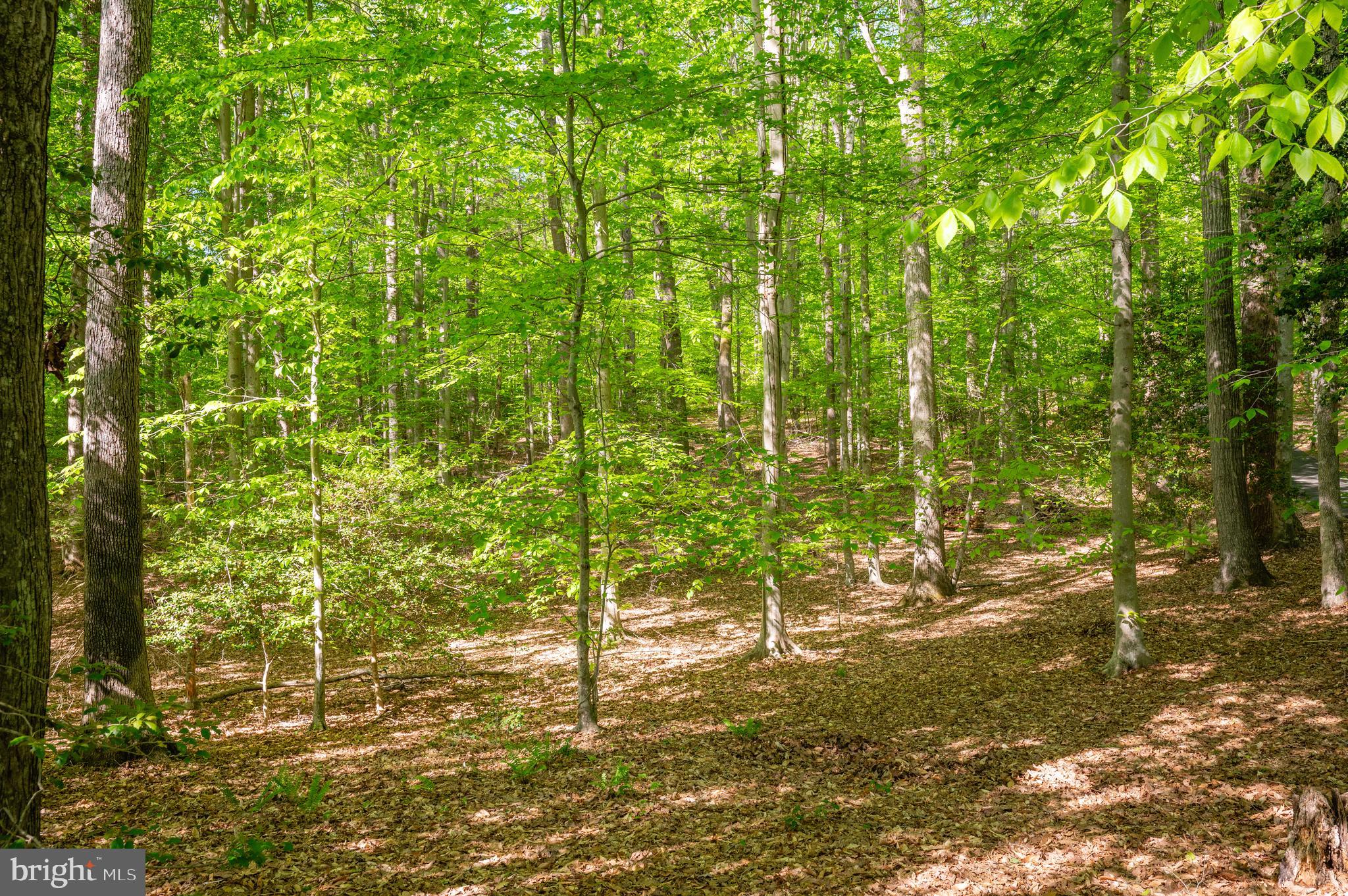 WATERVIEW PLANTATION - Residential